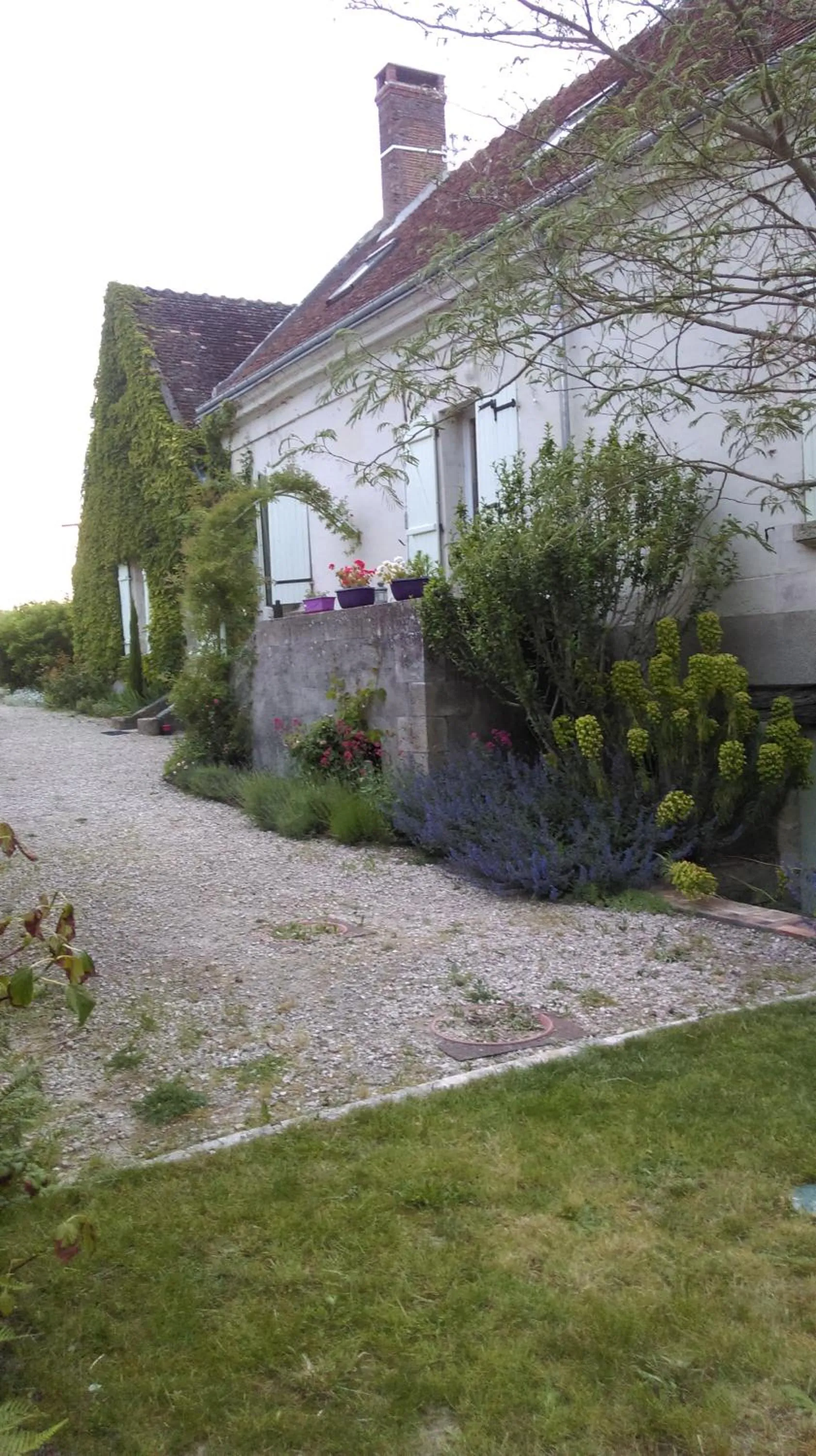 Property building in Ode au Bonheur St Georges sur Cher