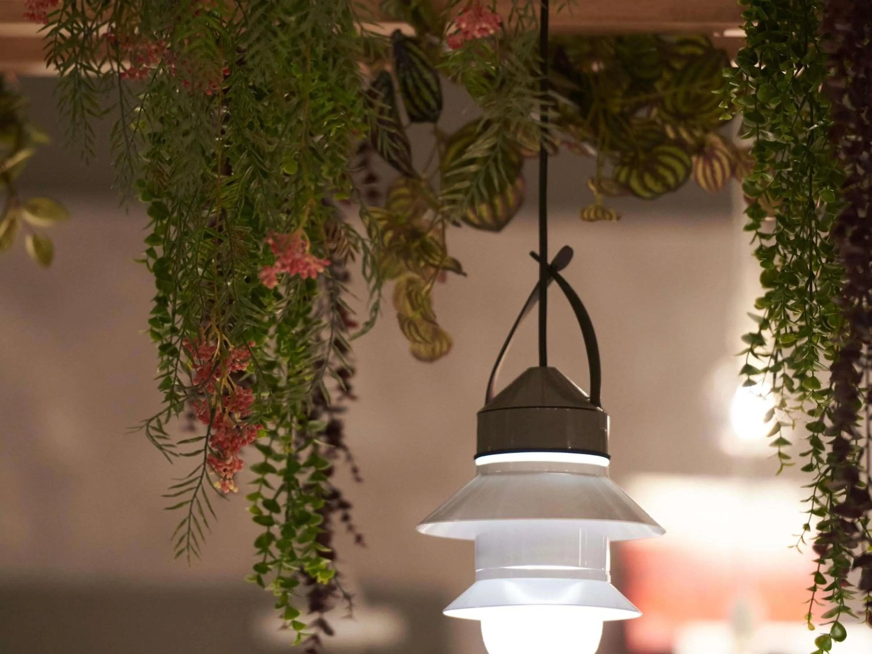 Restaurant/places to eat in Ibis Madrid Aeropuerto Barajas