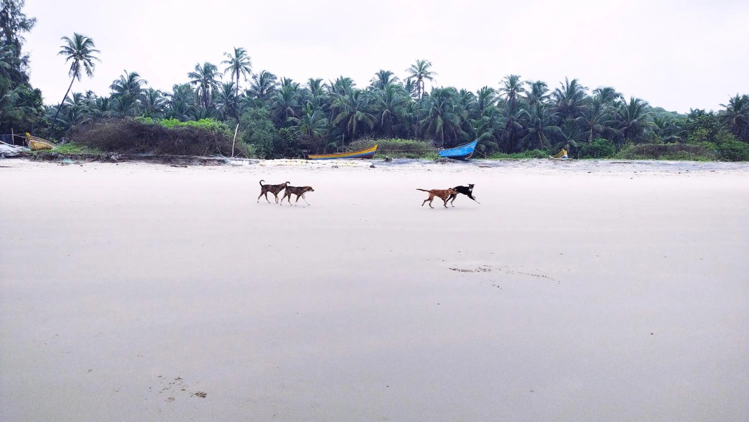 Day in Samant Beach Resort