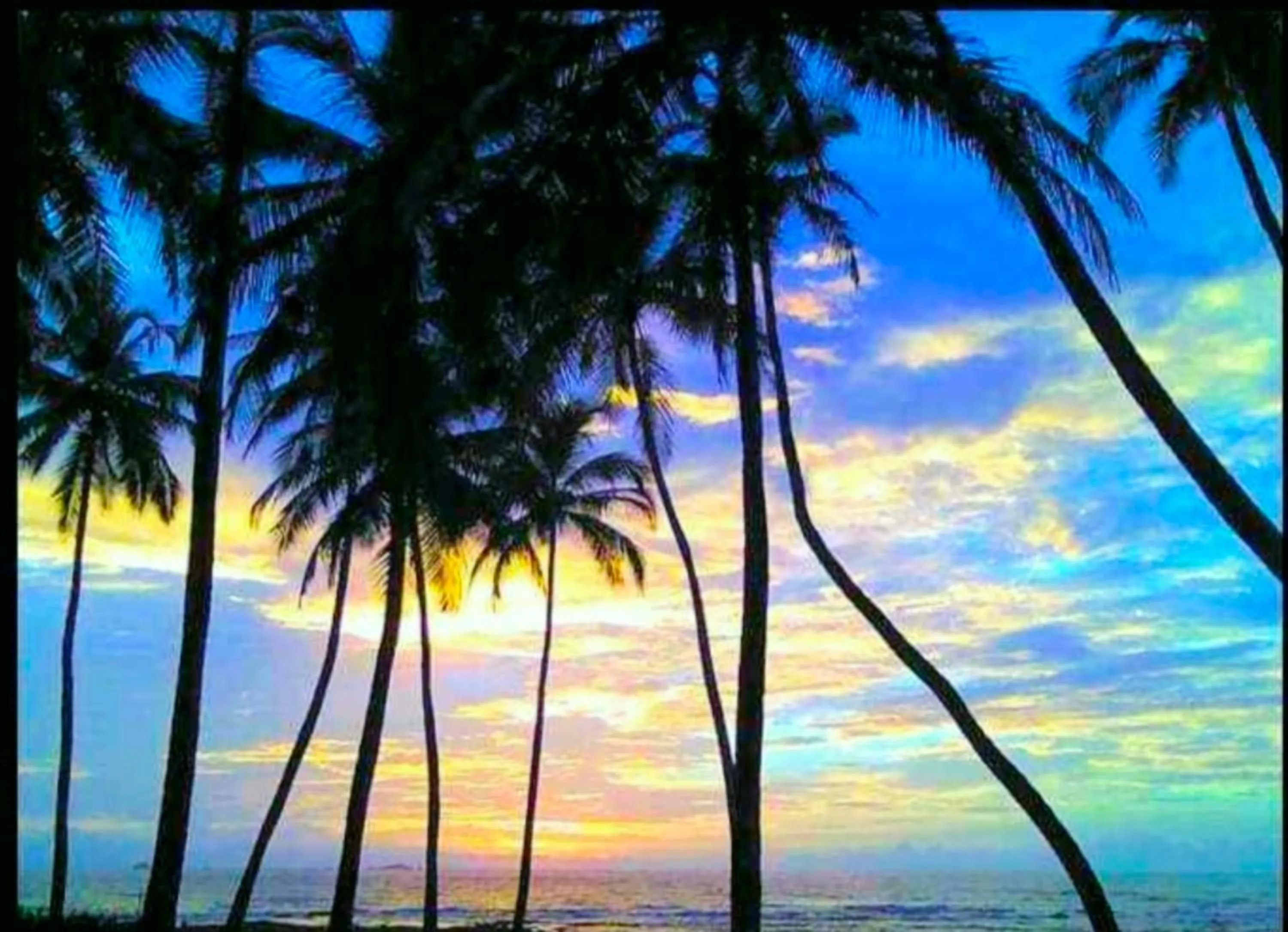 Beach in Samant Beach Resort