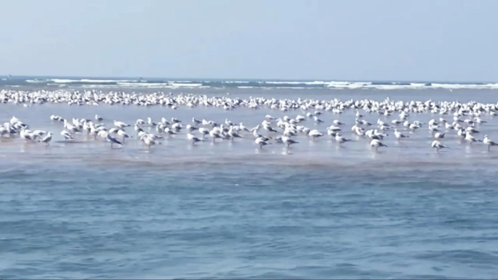 Nearby landmark in Samant Beach Resort