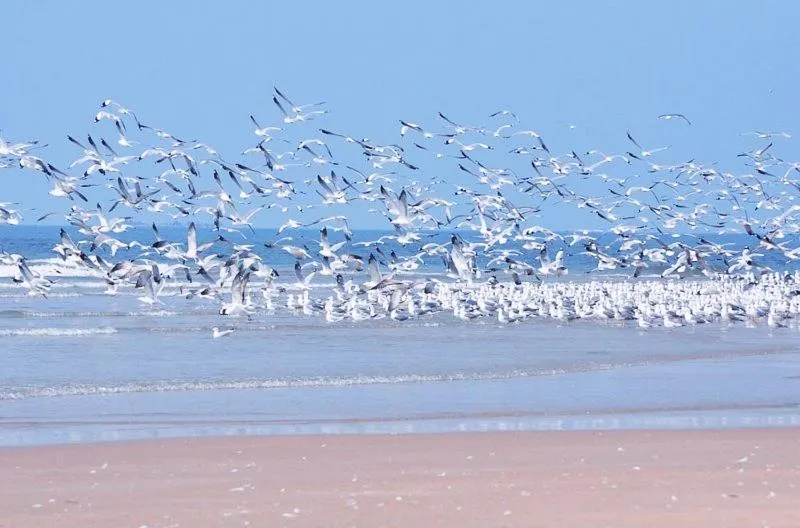 Day in Samant Beach Resort