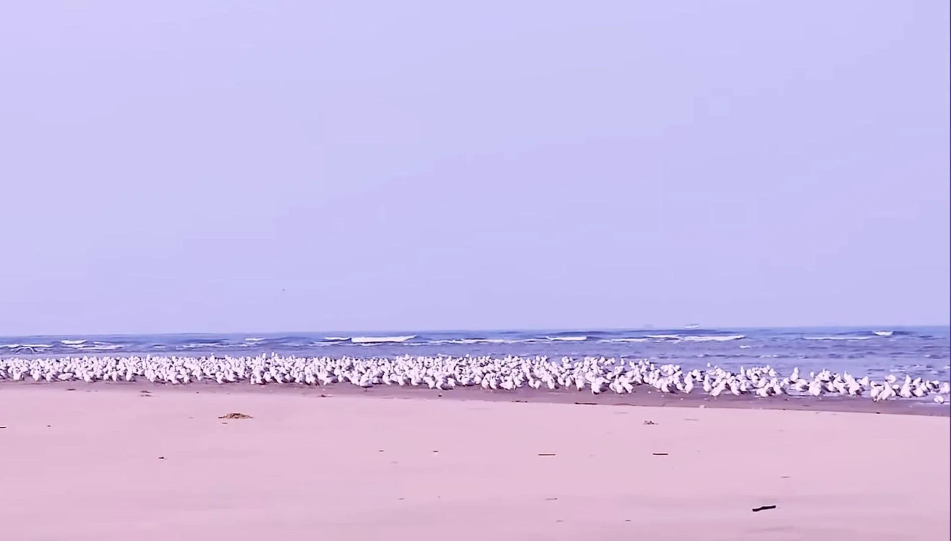 Day in Samant Beach Resort