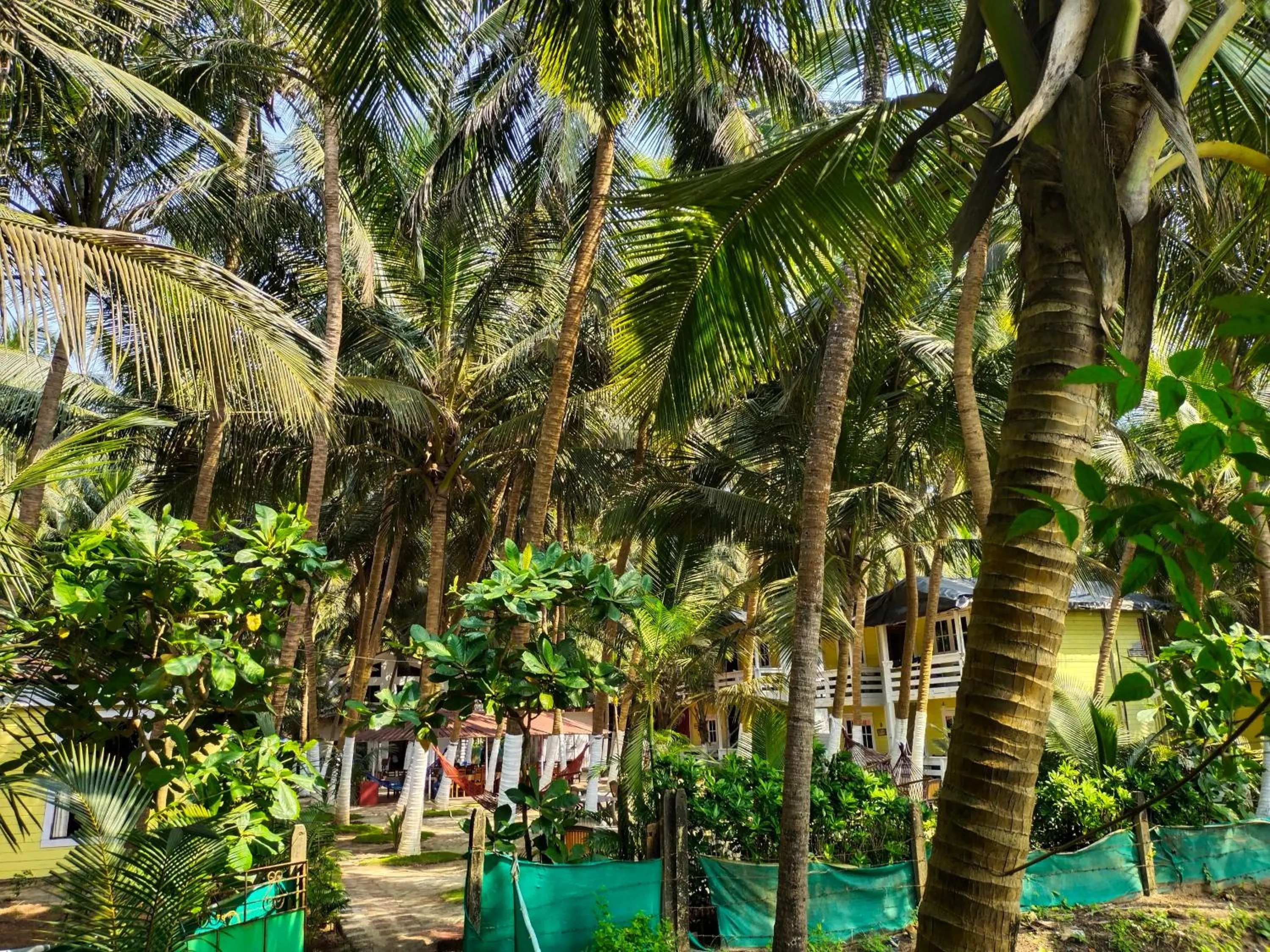 Garden in Samant Beach Resort