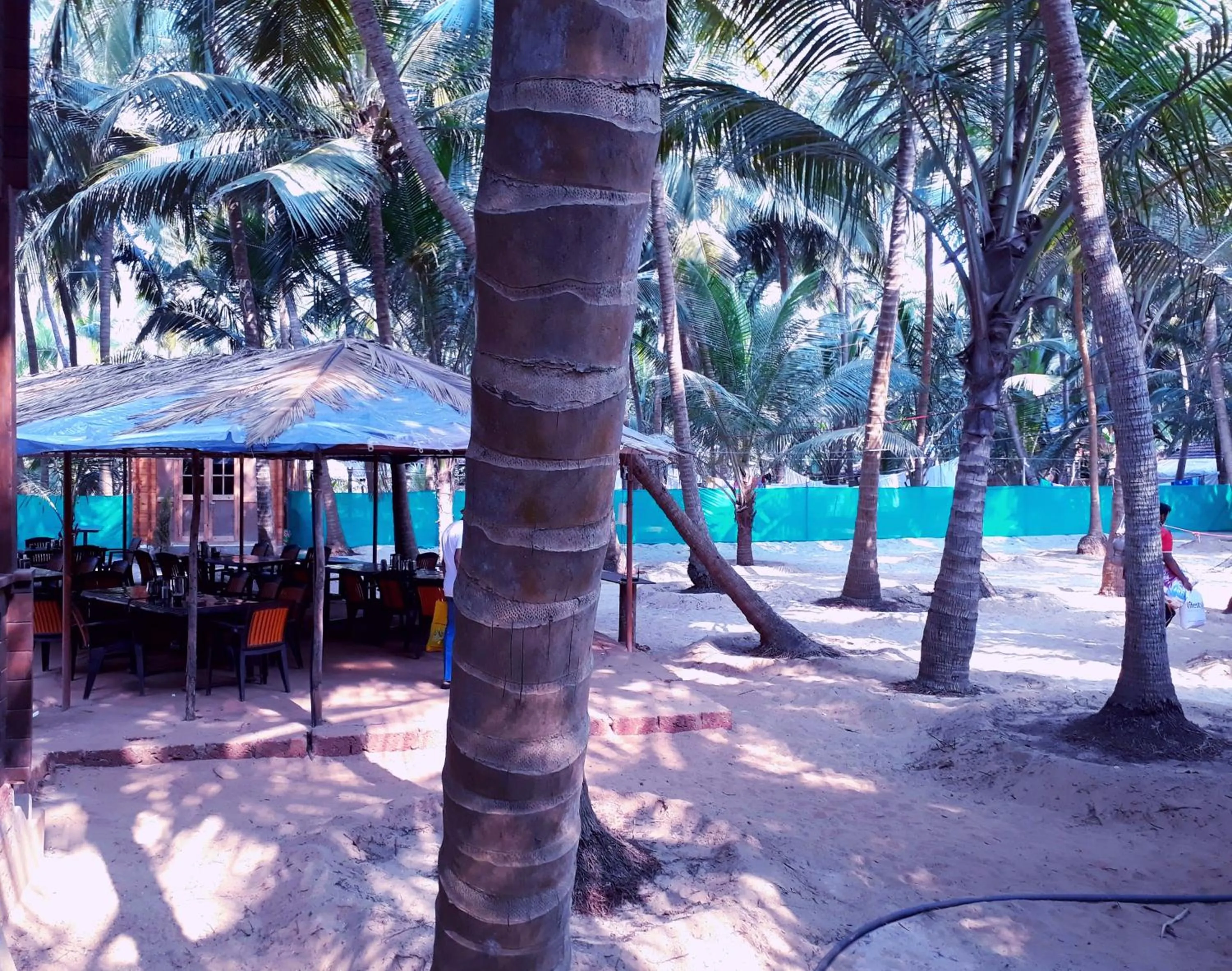 Garden in Samant Beach Resort