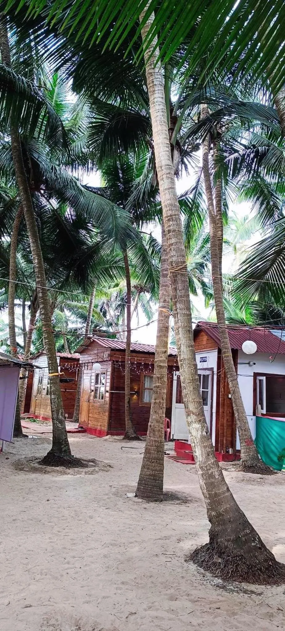 Garden in Samant Beach Resort