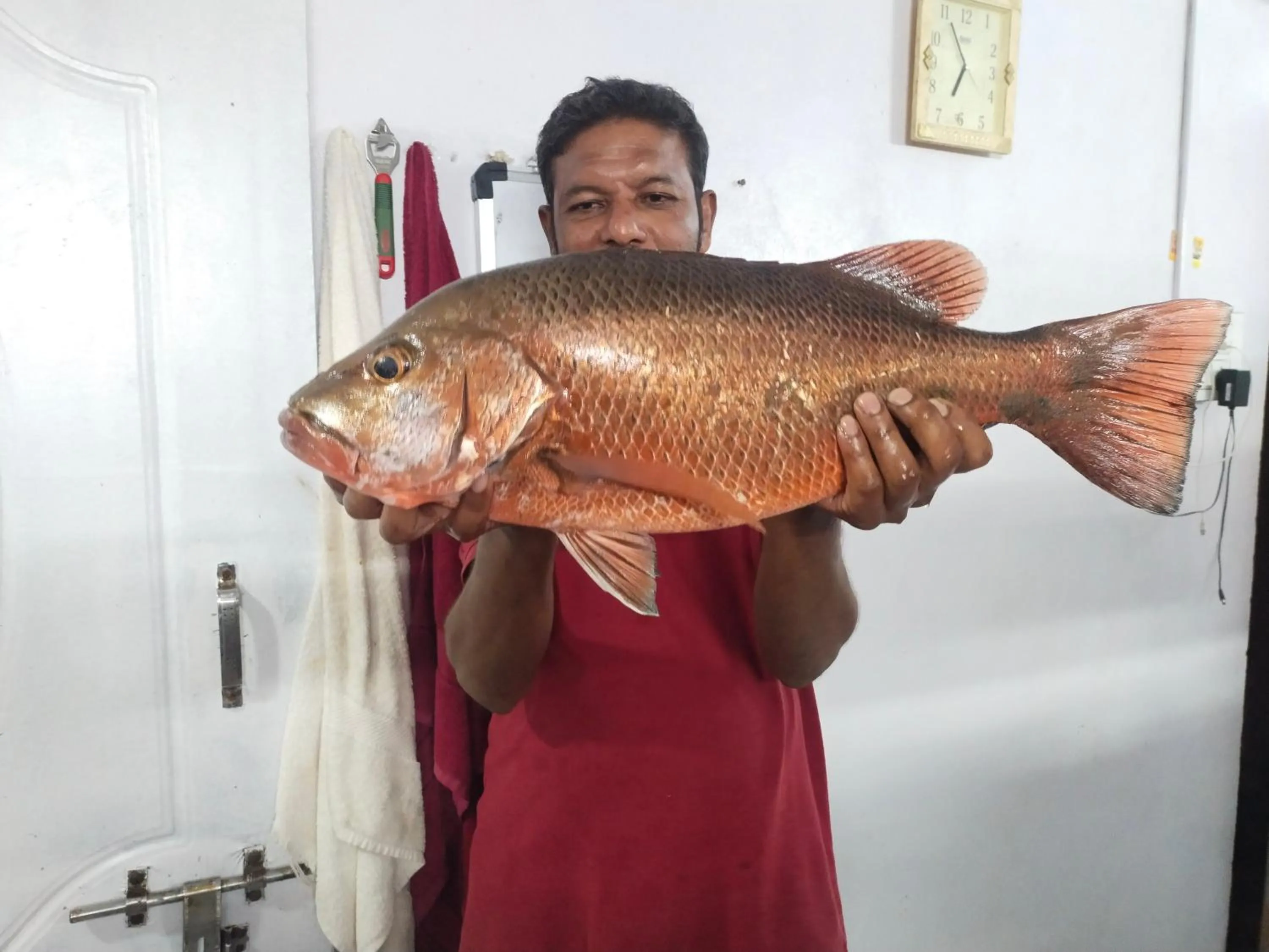 Animals in Samant Beach Resort