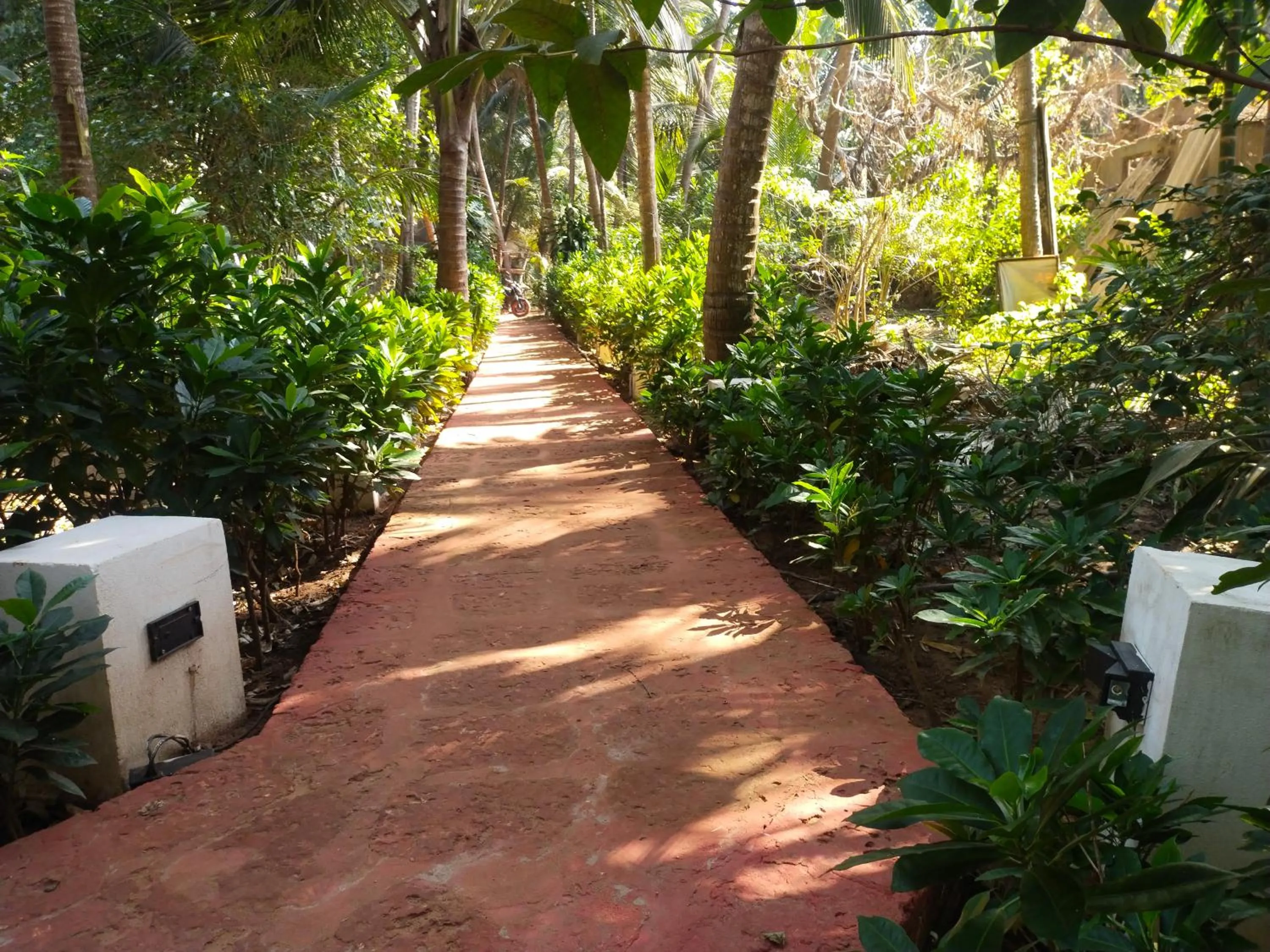 Garden in Samant Beach Resort