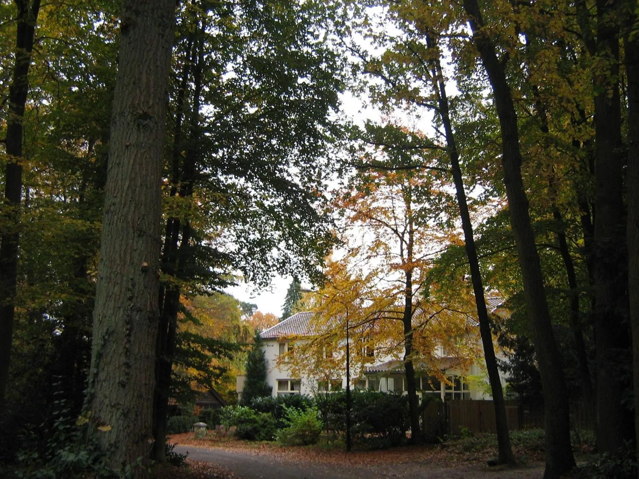 Garden in In de aap gelogeerd