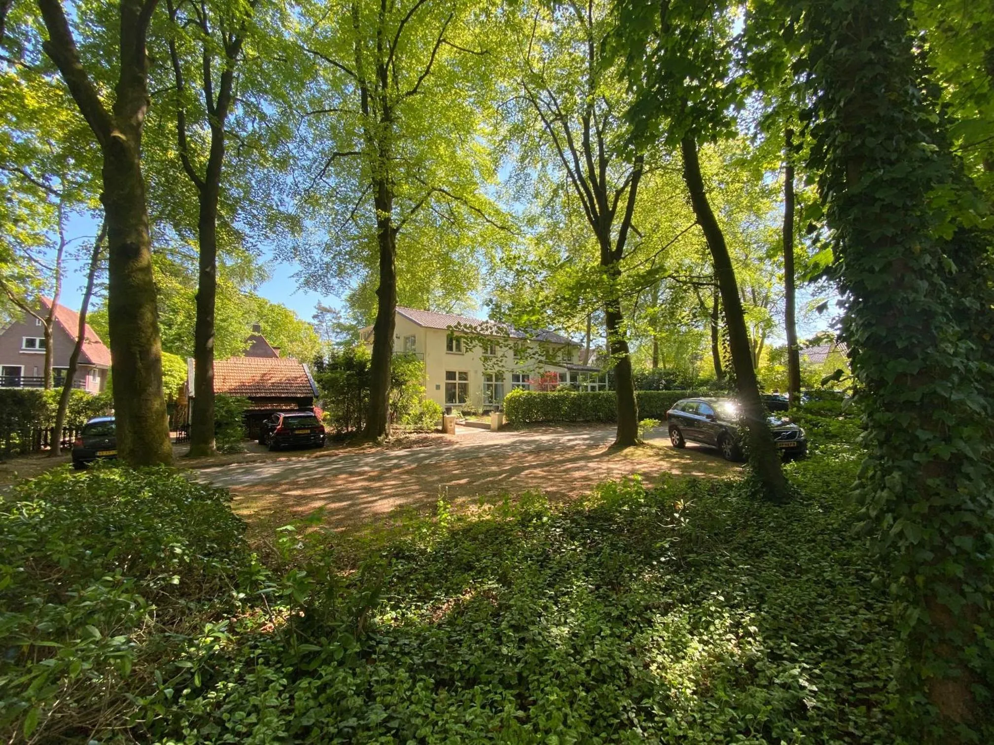 Garden in In de aap gelogeerd