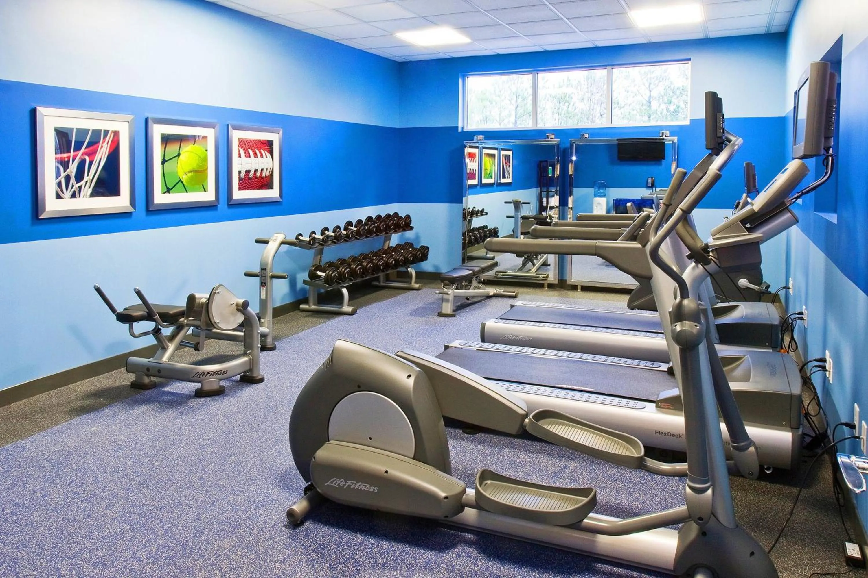 Fitness centre/facilities in Four Points by Sheraton Raleigh Durham Airport