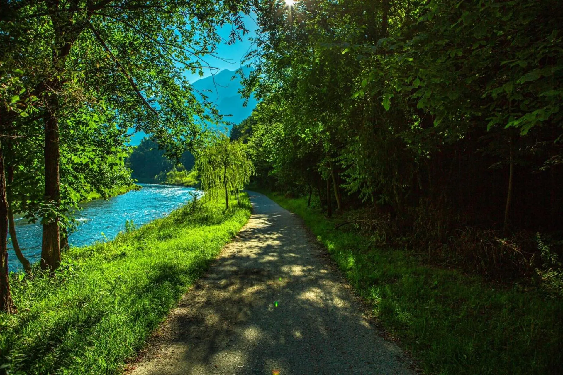 Natural landscape in Hotel Giardino