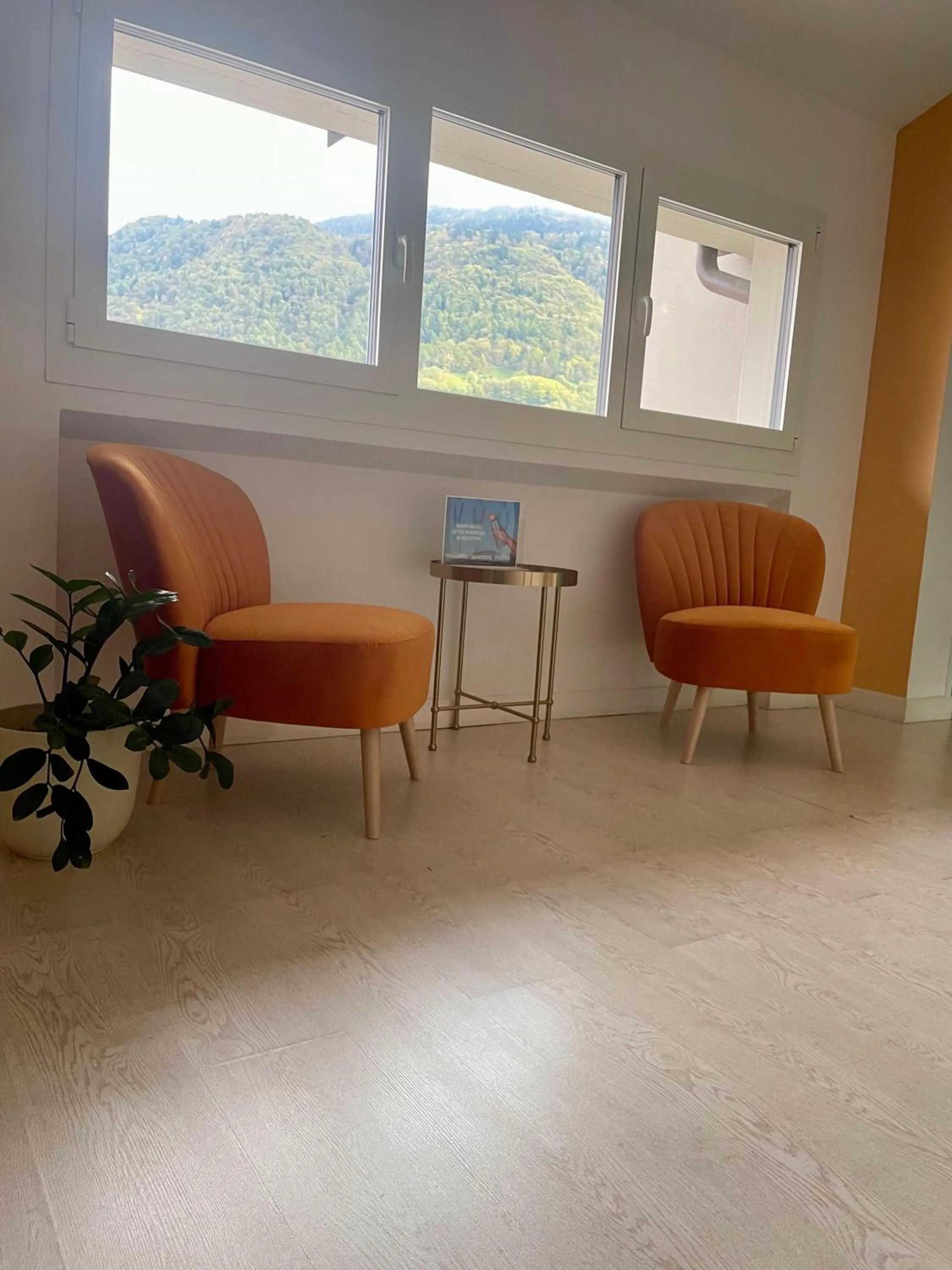 Area and facilities in Hotel Giardino