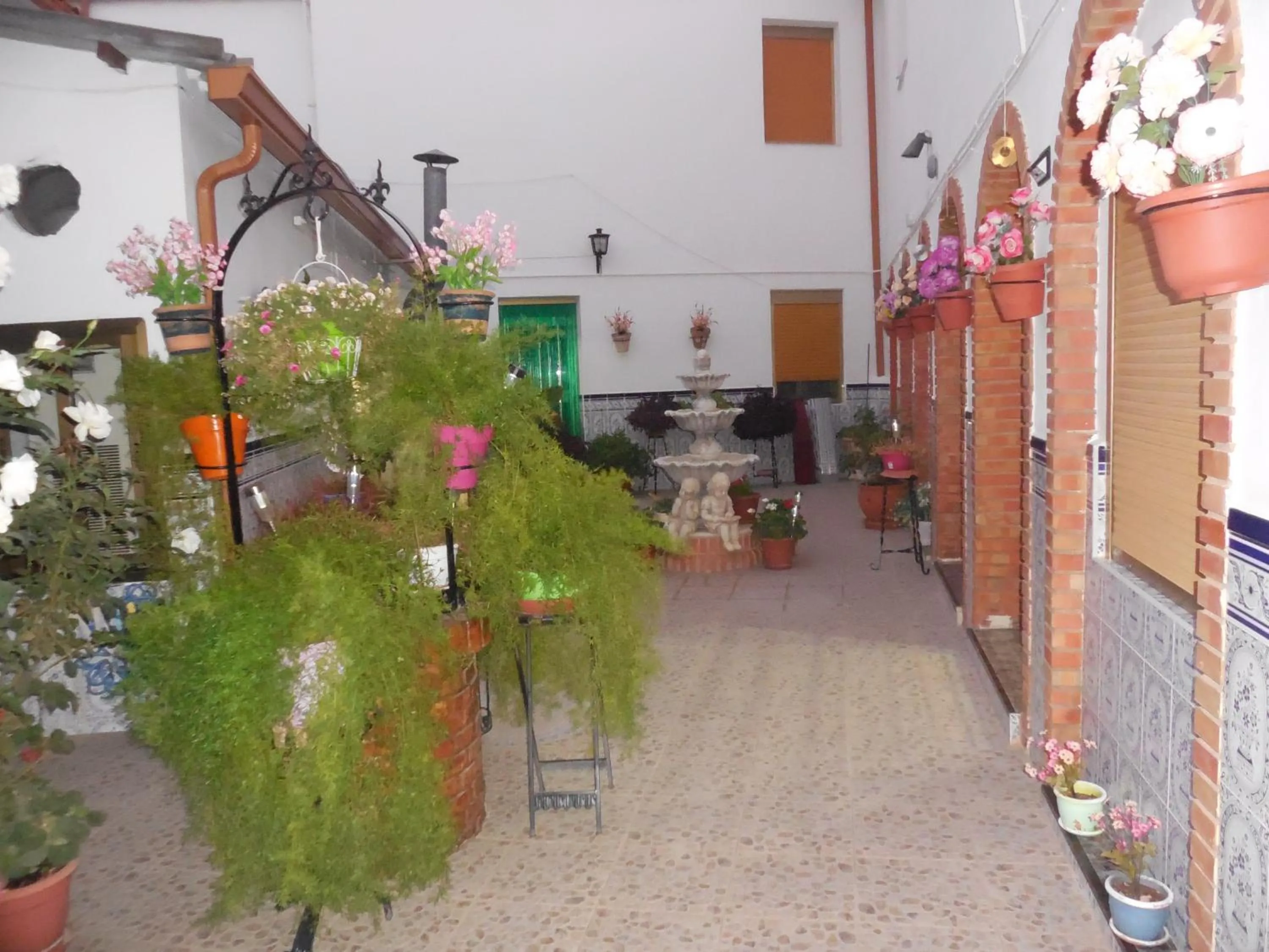 Patio in San Cristobal