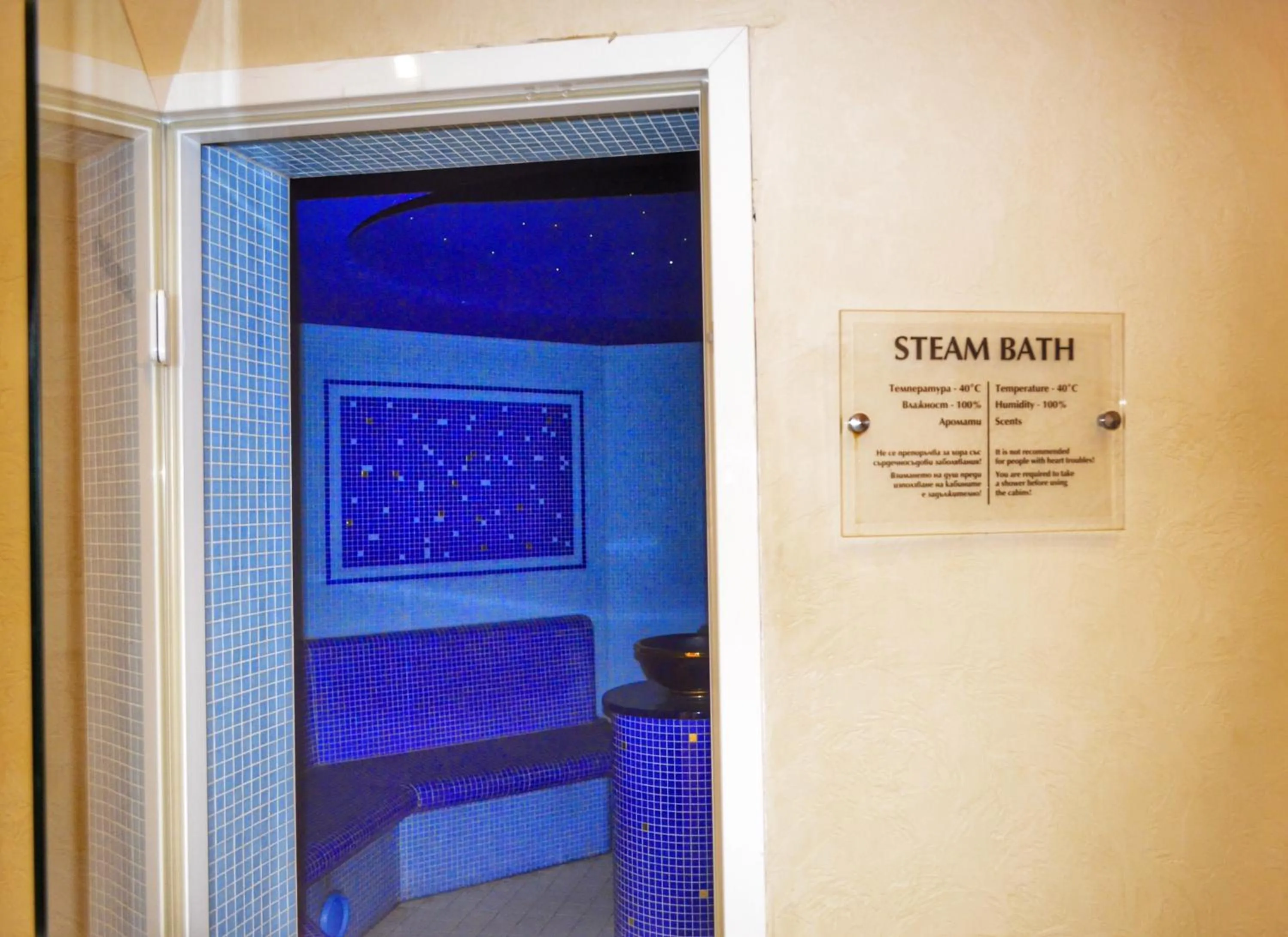 Steam room in Bellevue Residence Apartments