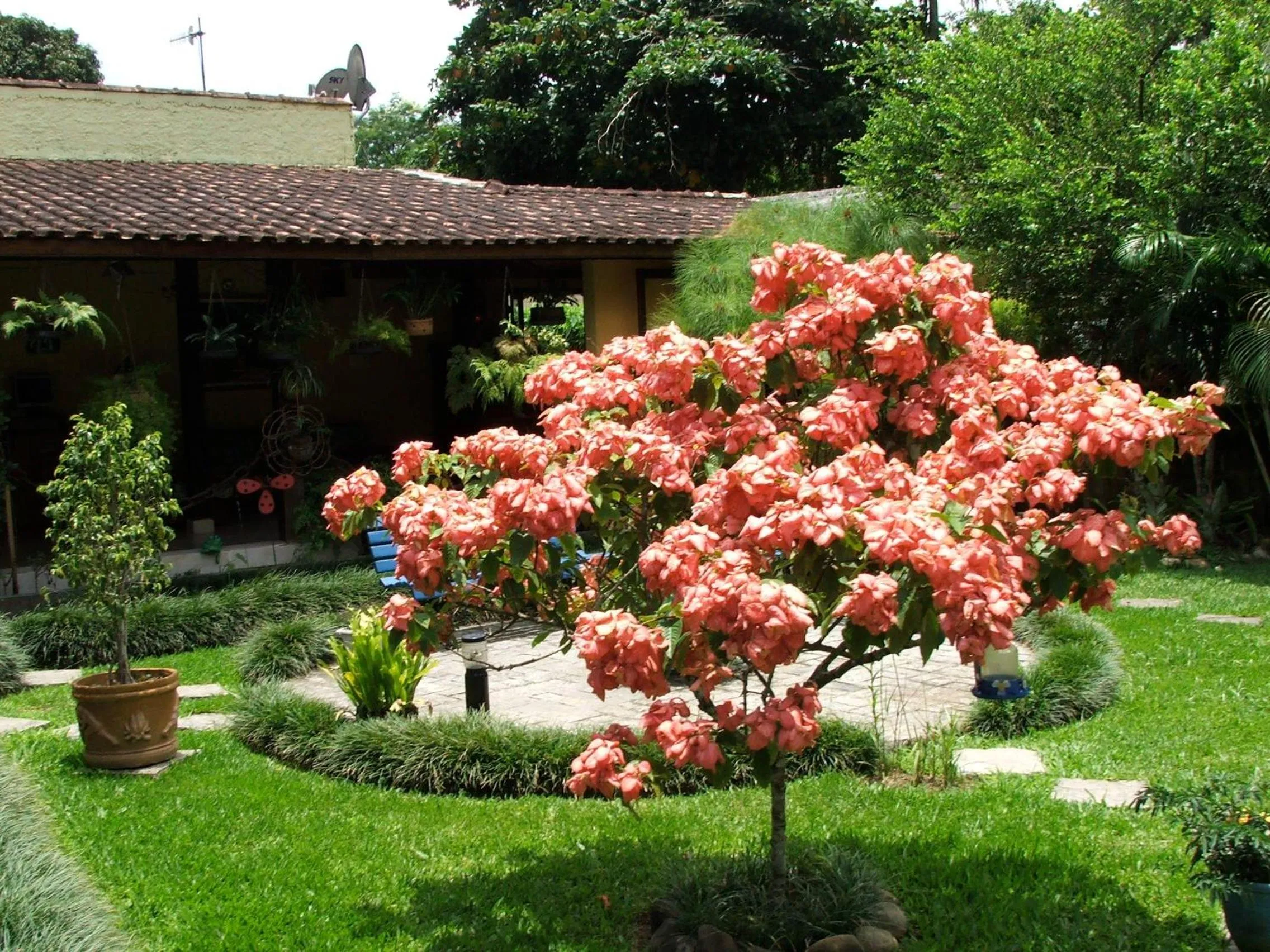 Decorative detail in Pousada Caúca