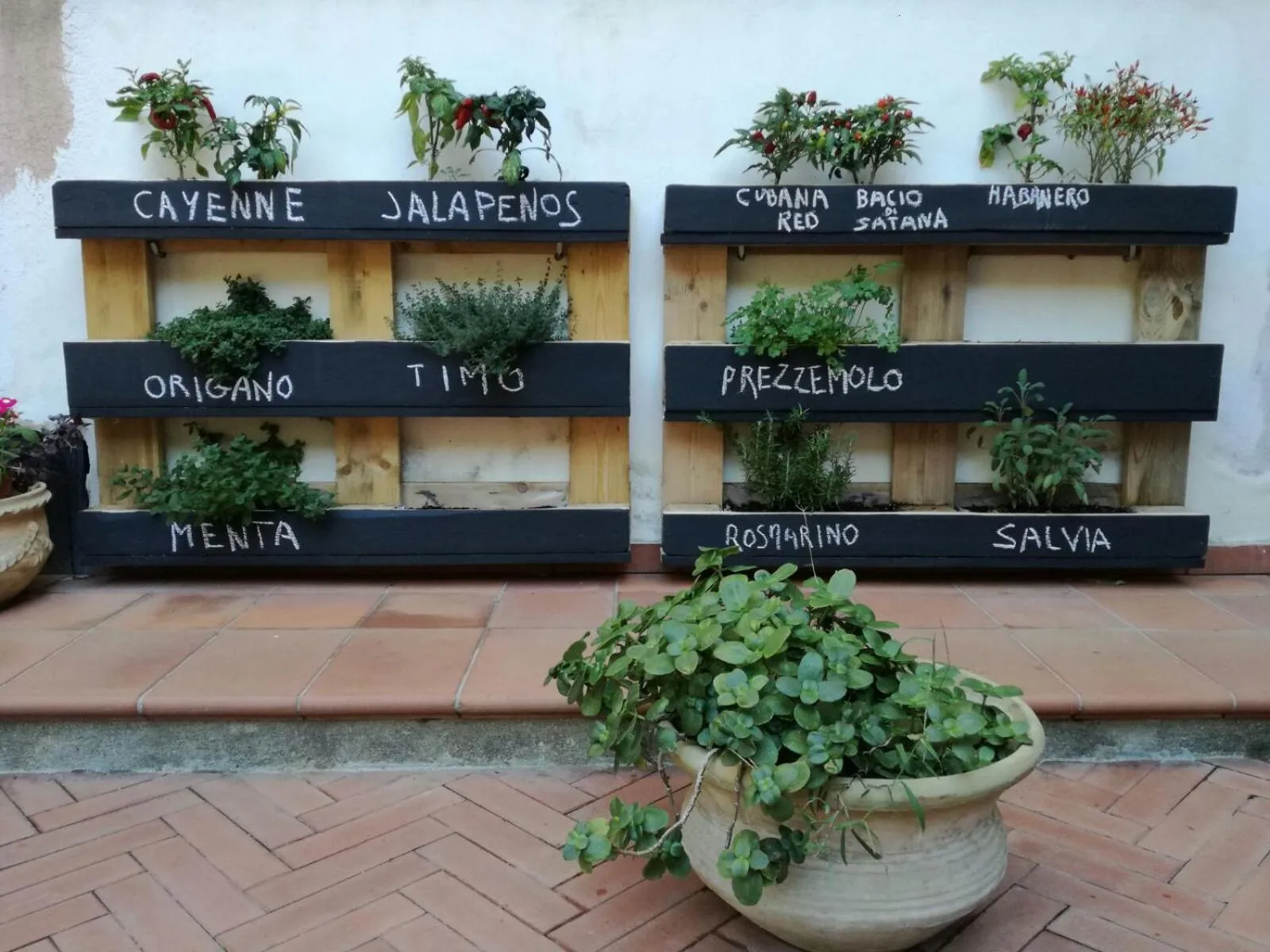 Garden in Villa Grande