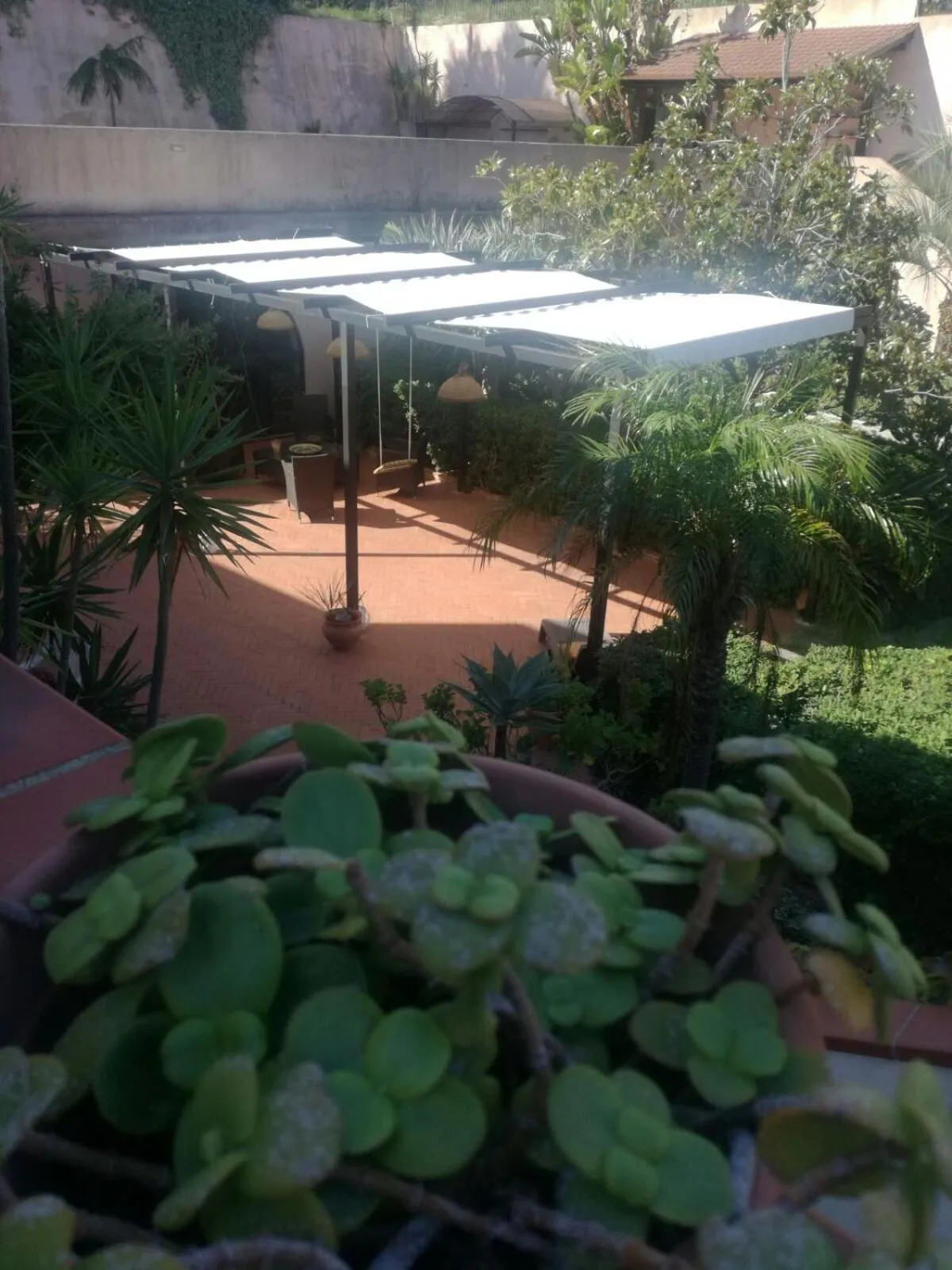 Garden in Villa Grande