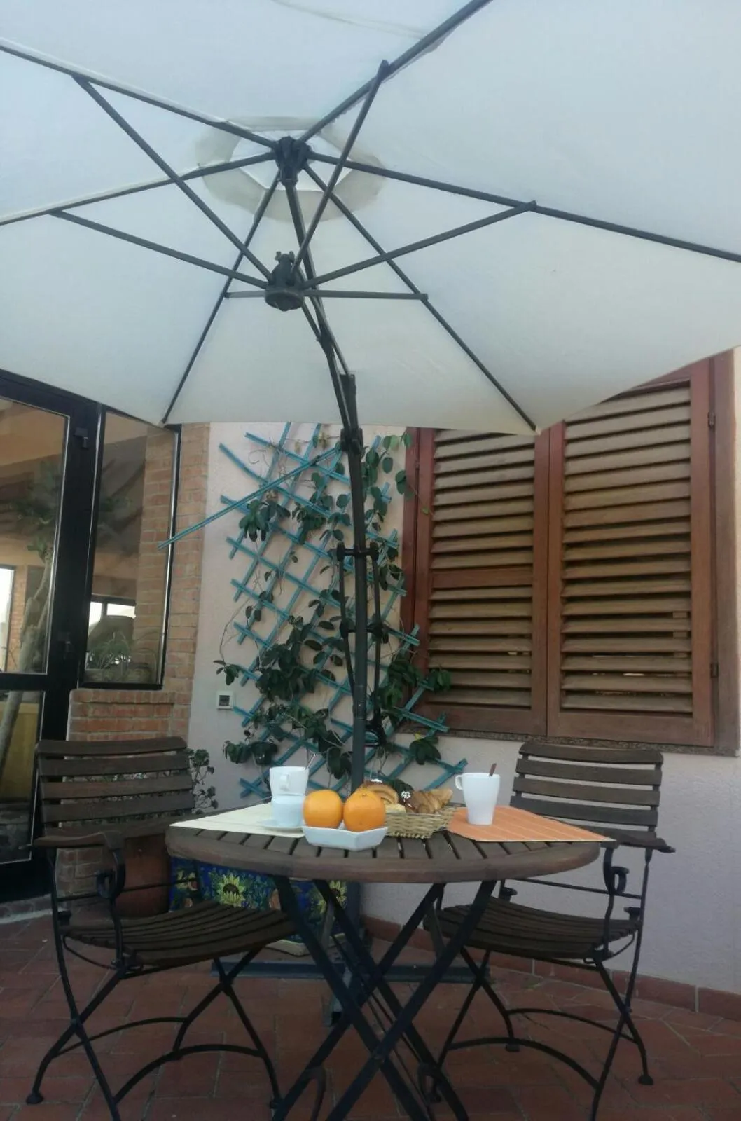 Garden in Villa Grande