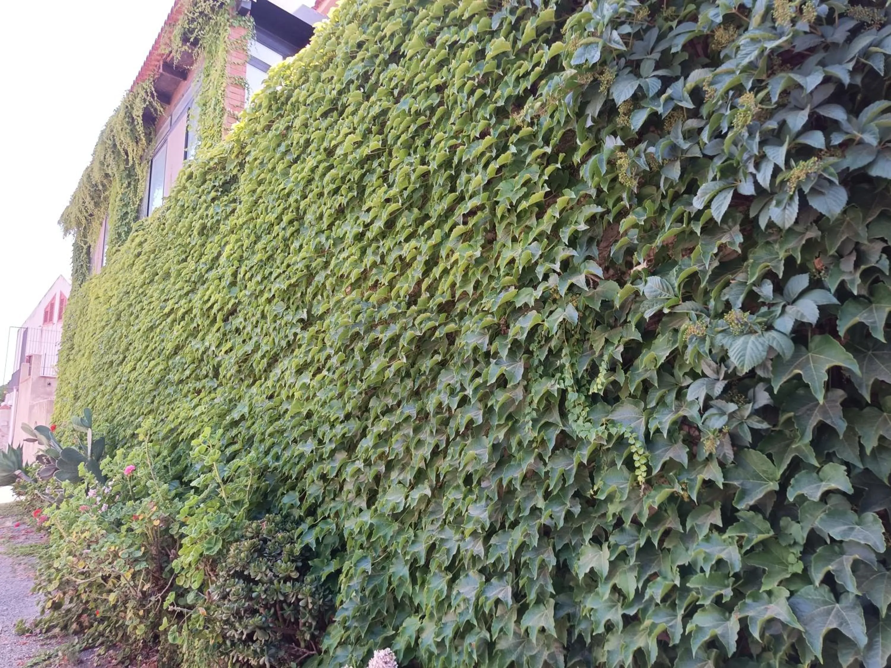 Facade/entrance in Villa Grande