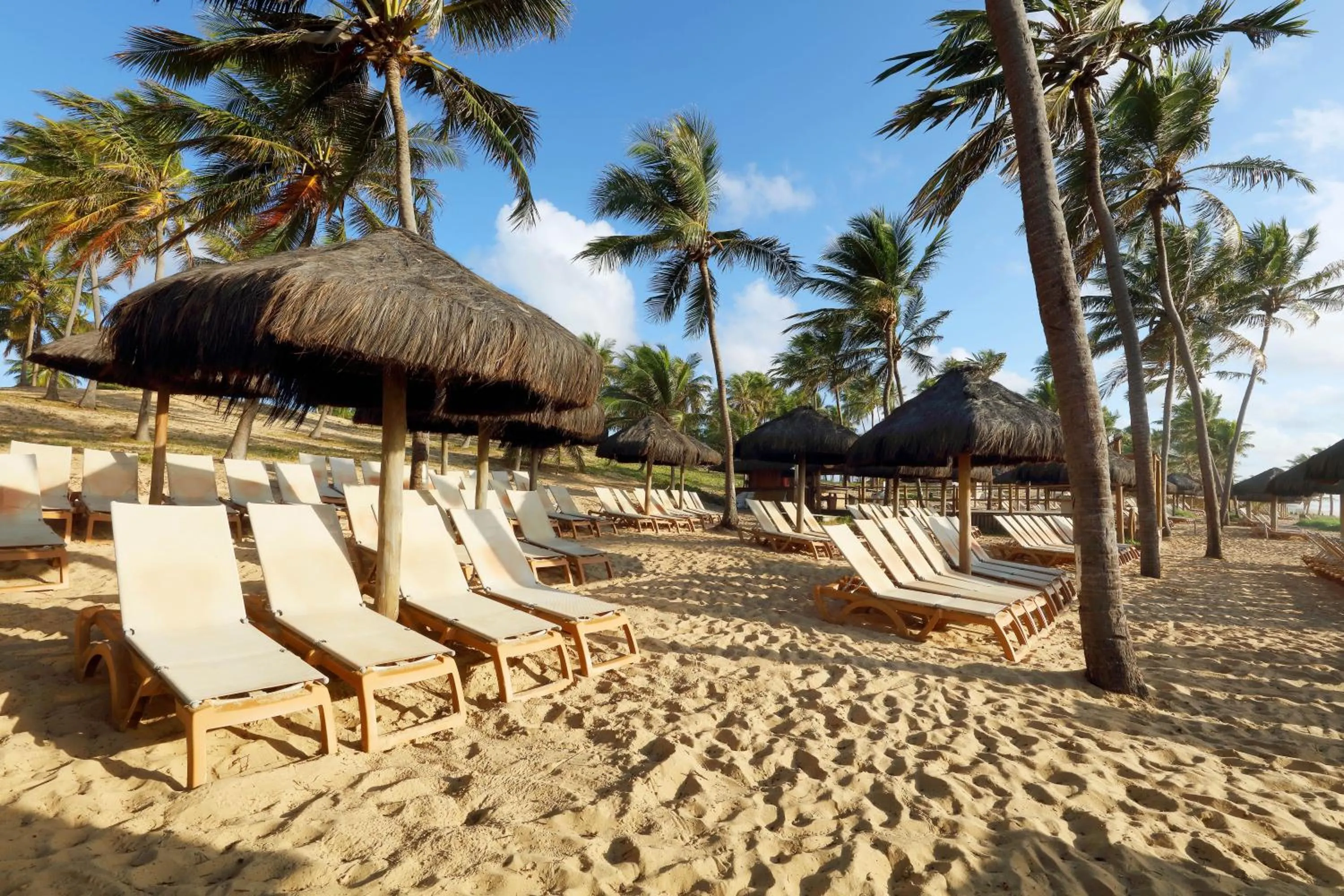 Beach in Grand Palladium Imbassaí Resort & Spa - All Inclusive