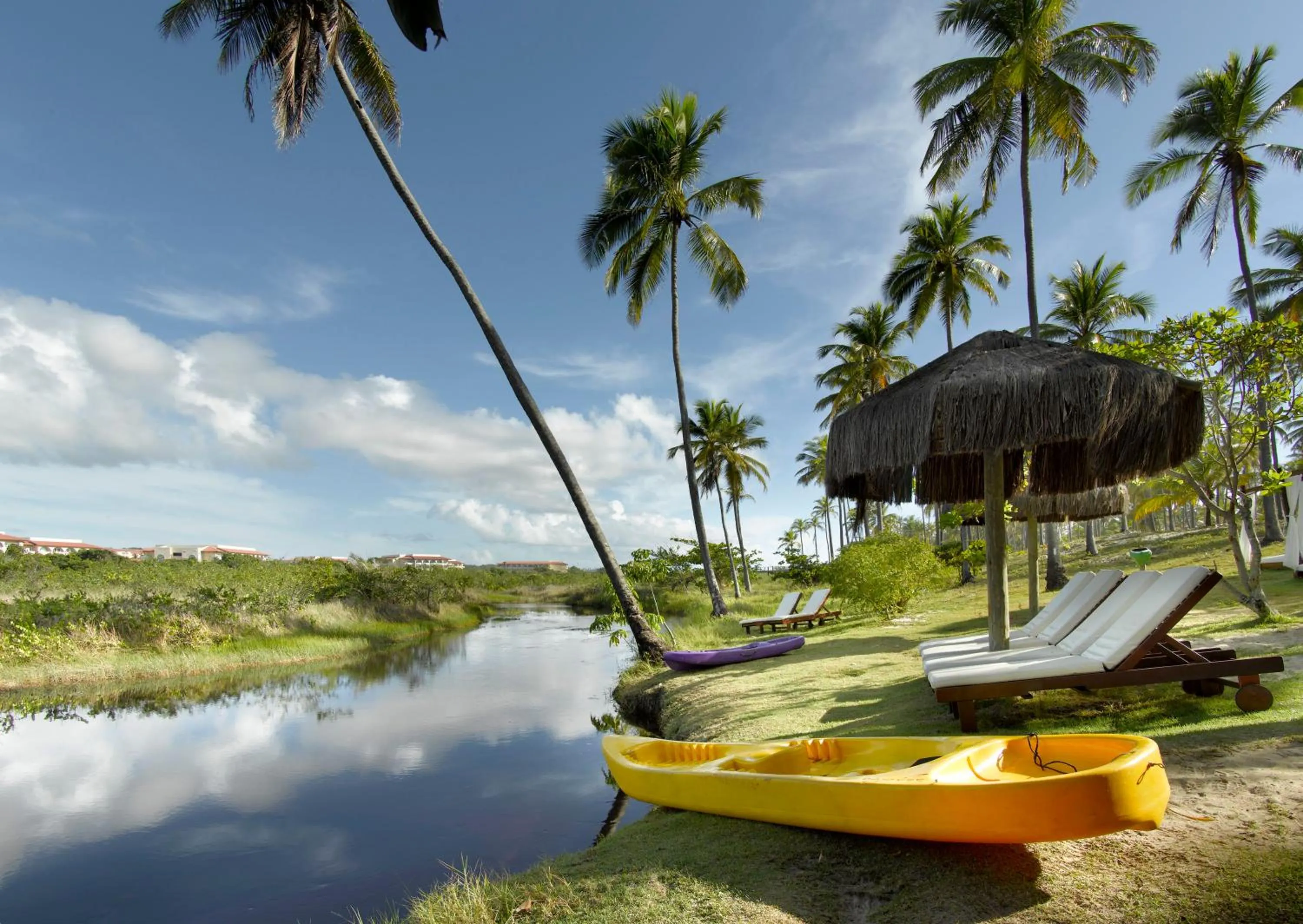 Natural landscape in Grand Palladium Imbassaí Resort & Spa - All Inclusive