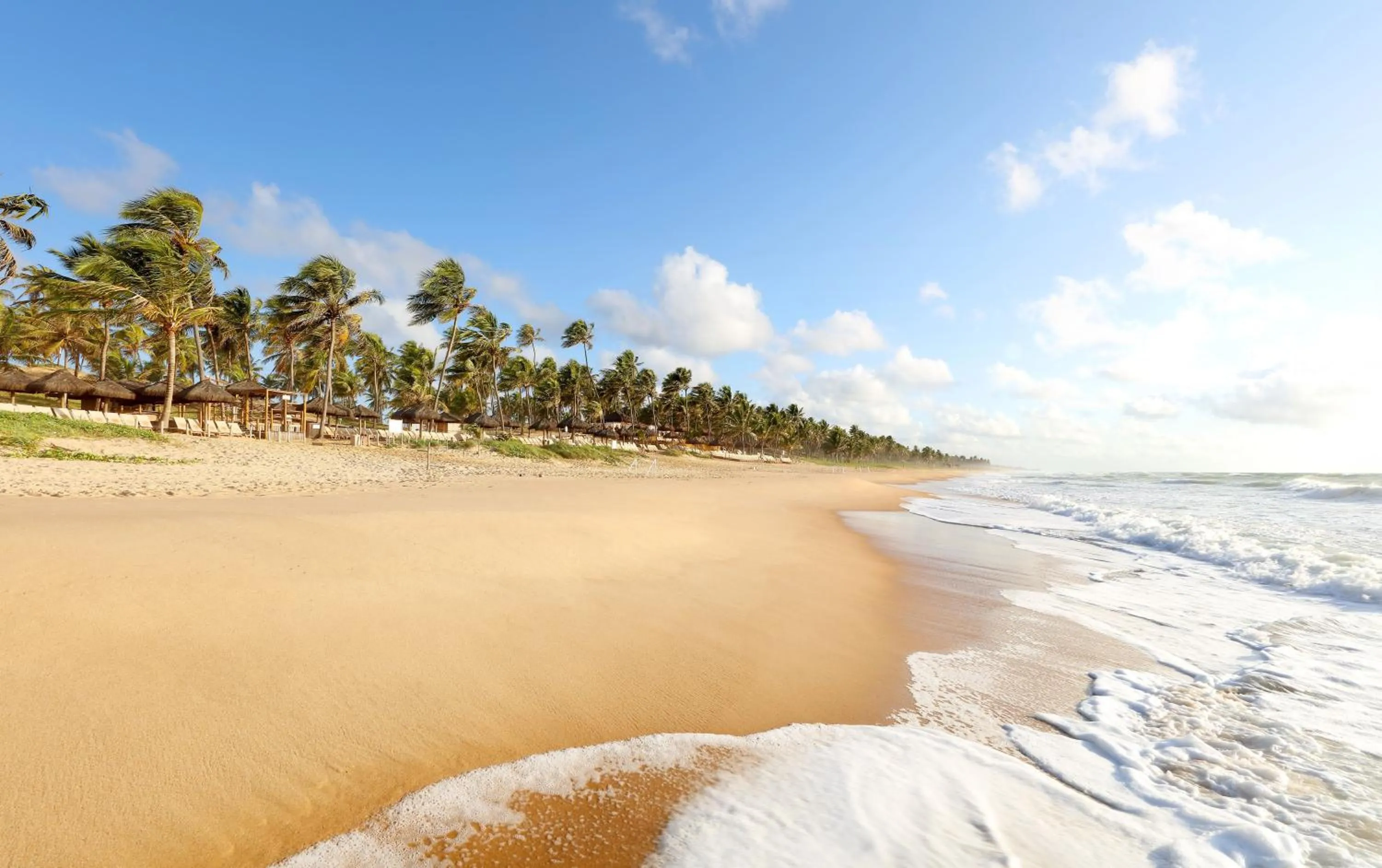 Beach in Grand Palladium Imbassaí Resort & Spa - All Inclusive