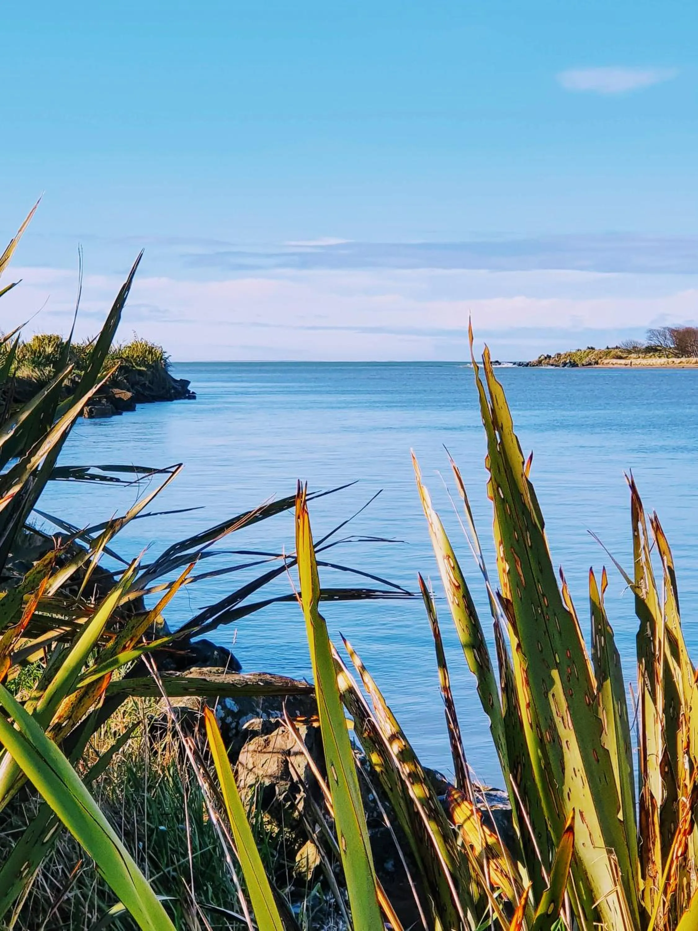 River view in La Riviera Guesthouse
