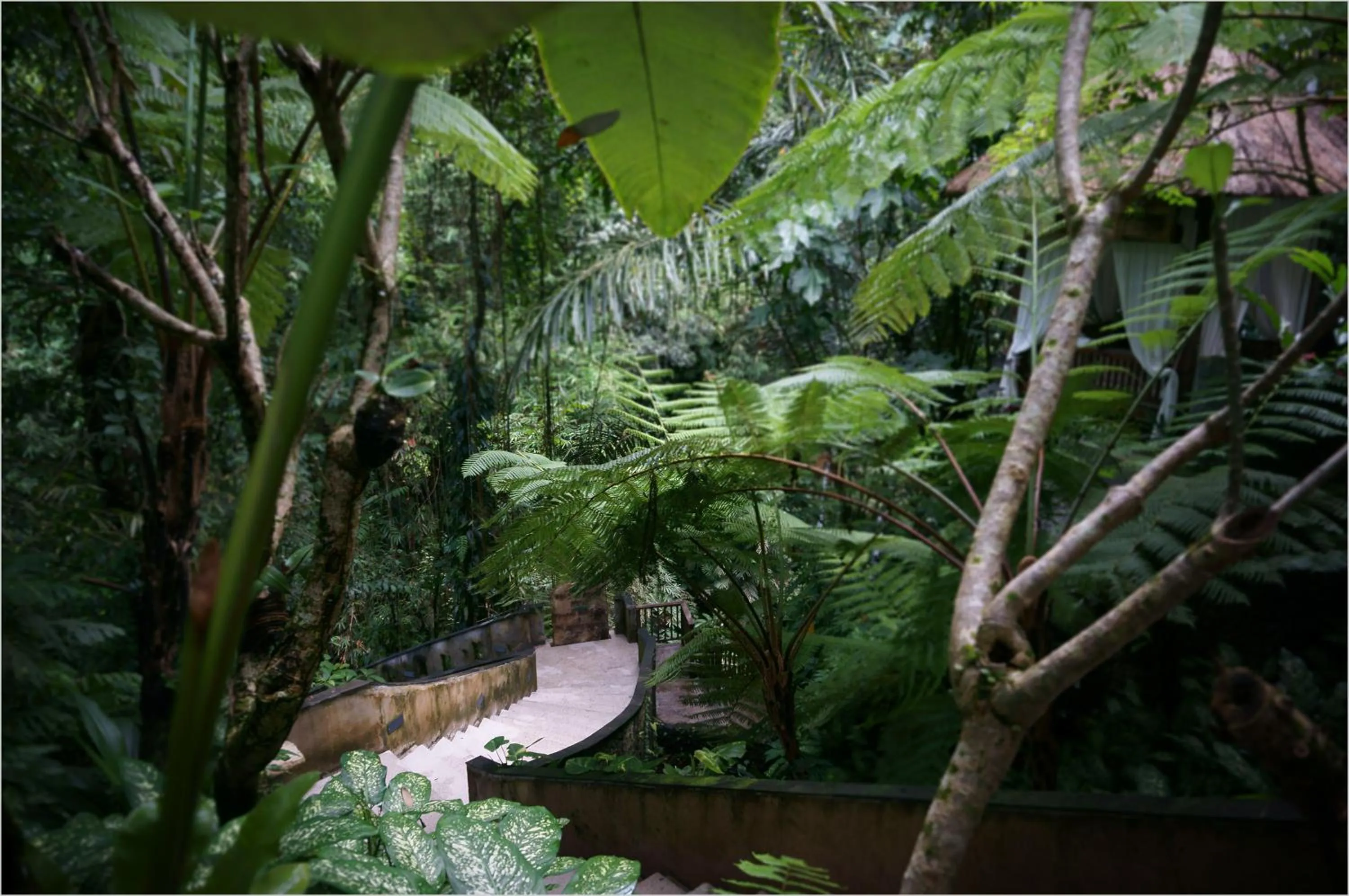 Bird's eye view in Alam Ubud Culture Villas And Residences