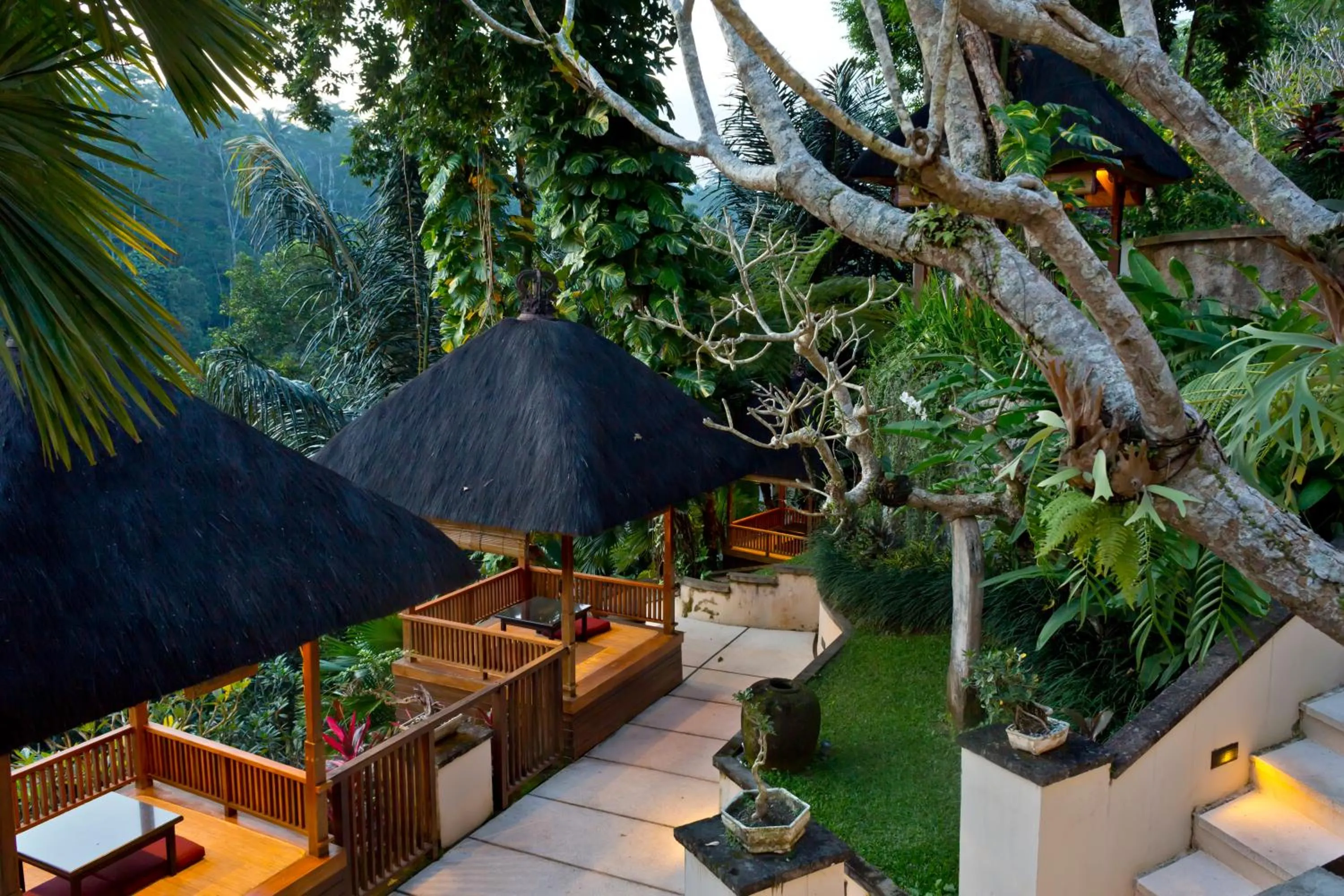 Natural landscape in Alam Ubud Culture Villas And Residences