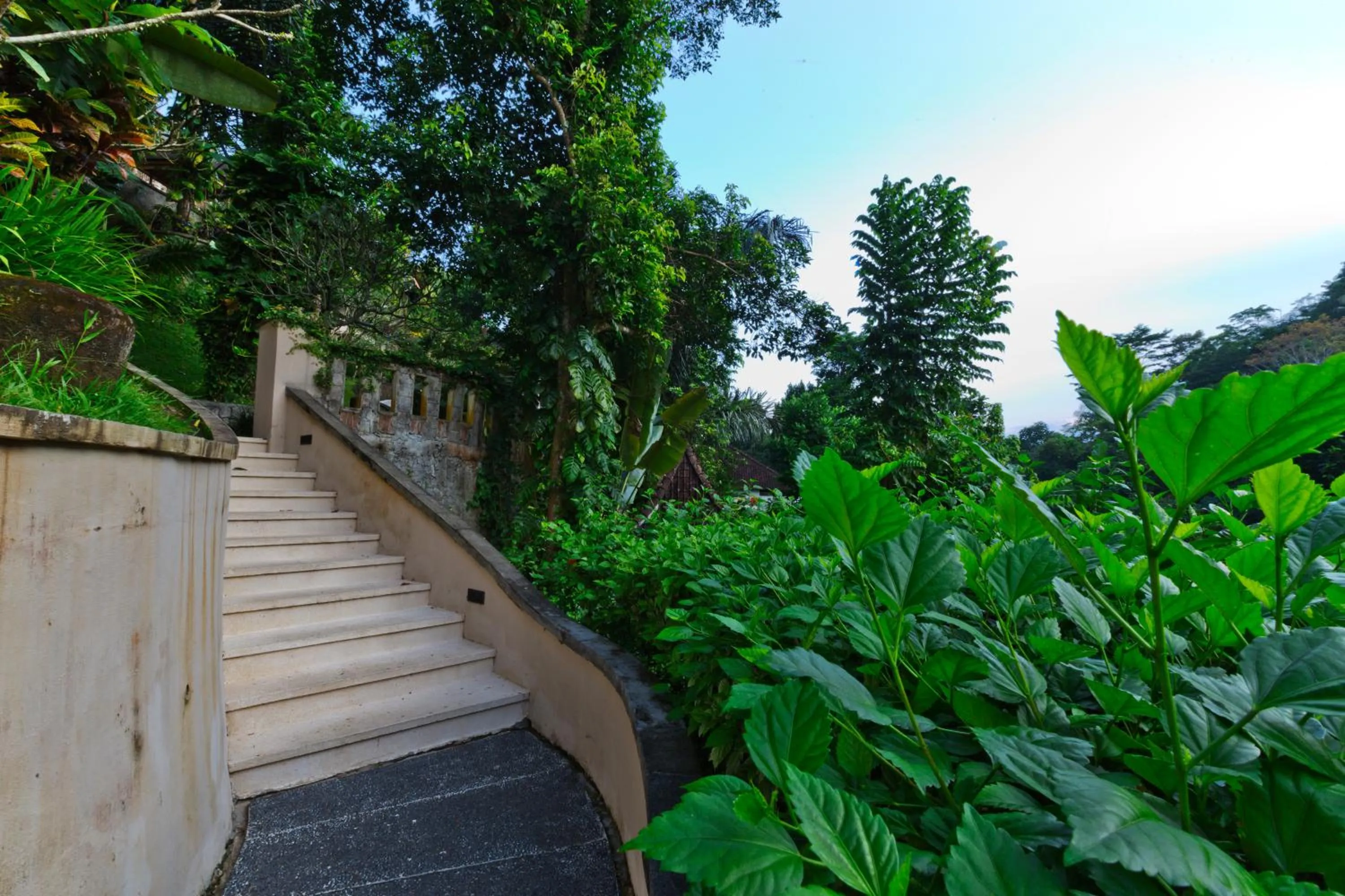 Natural landscape in Alam Ubud Culture Villas And Residences