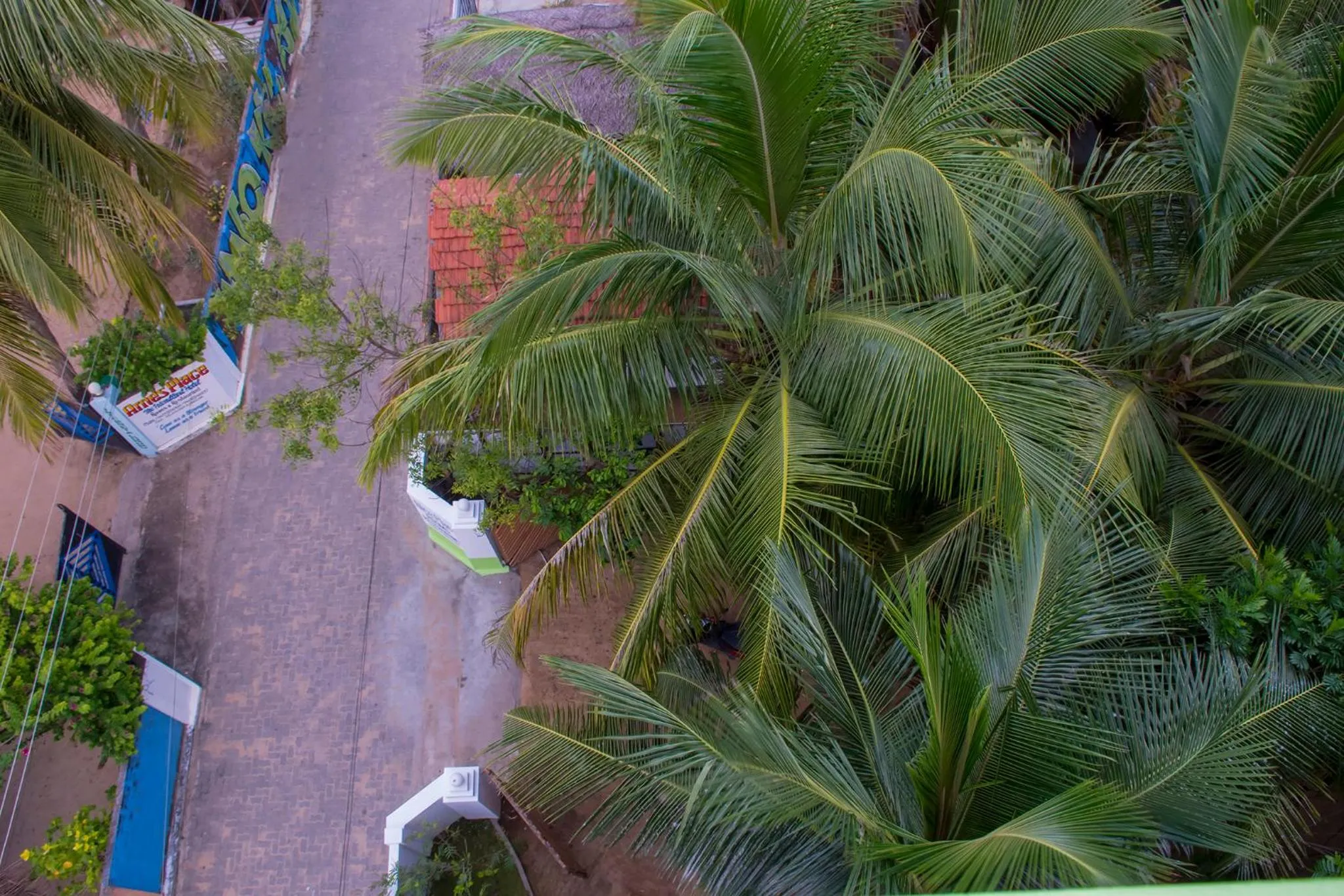 Garden view in Nice Place Beach Hotel