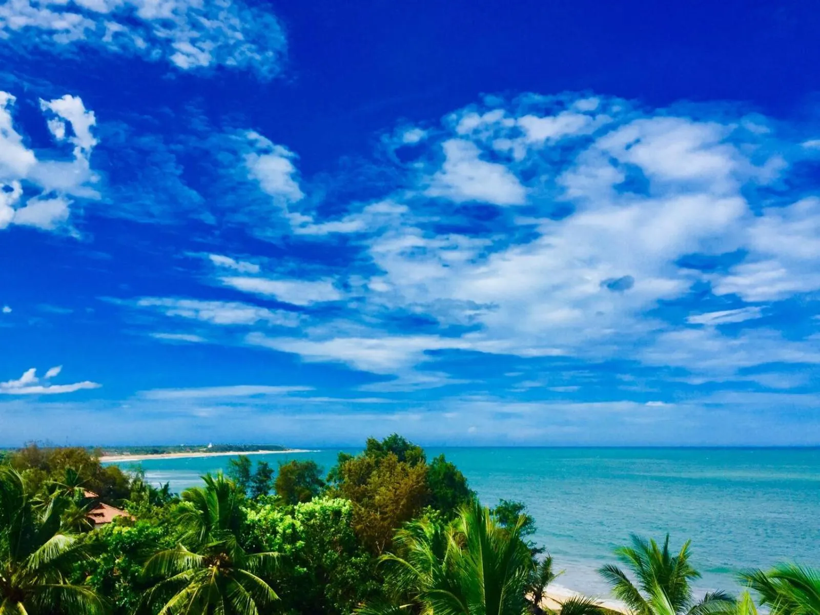 Sea view in Nice Place Beach Hotel