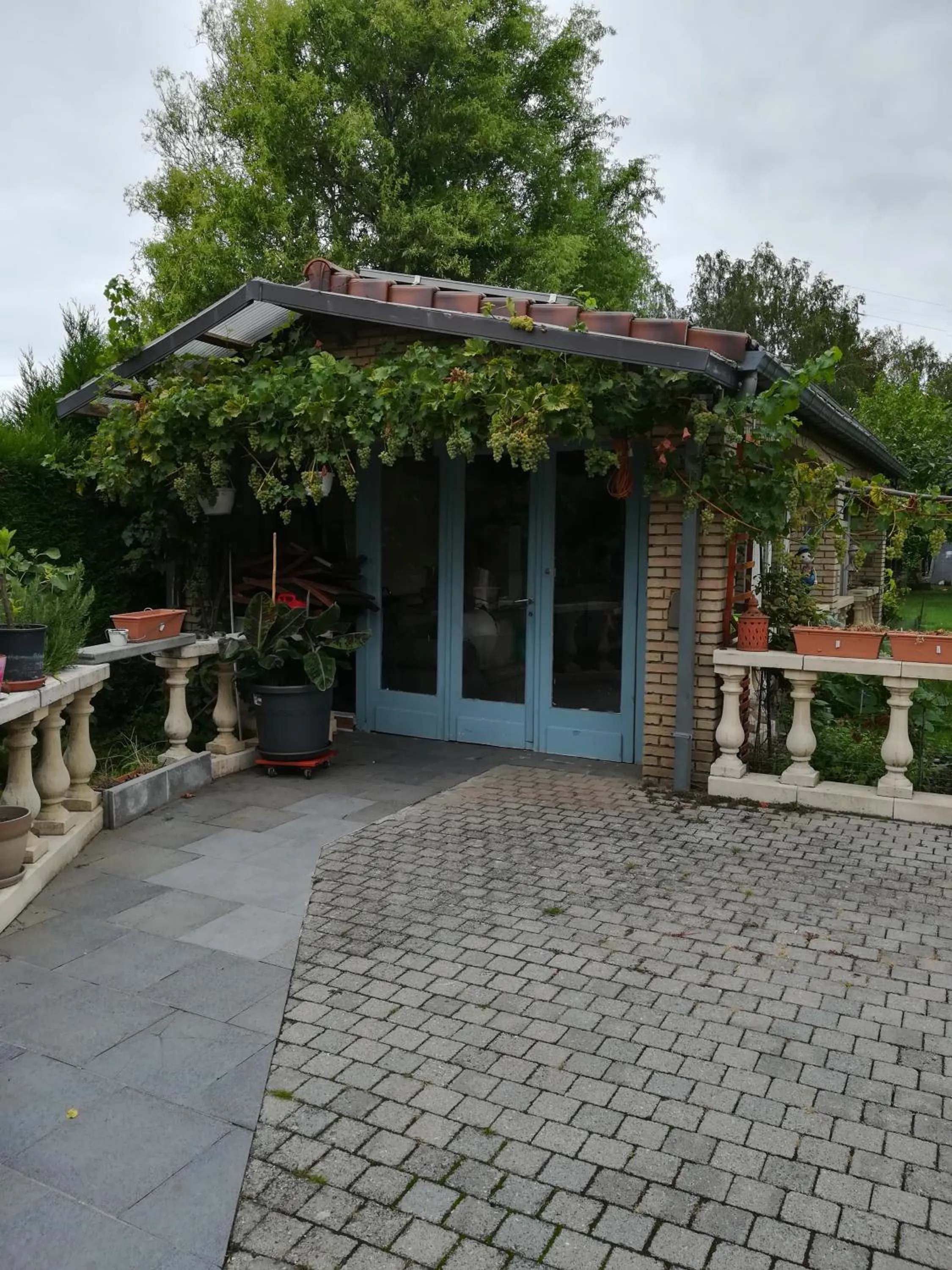 Garden view in Le Castillon