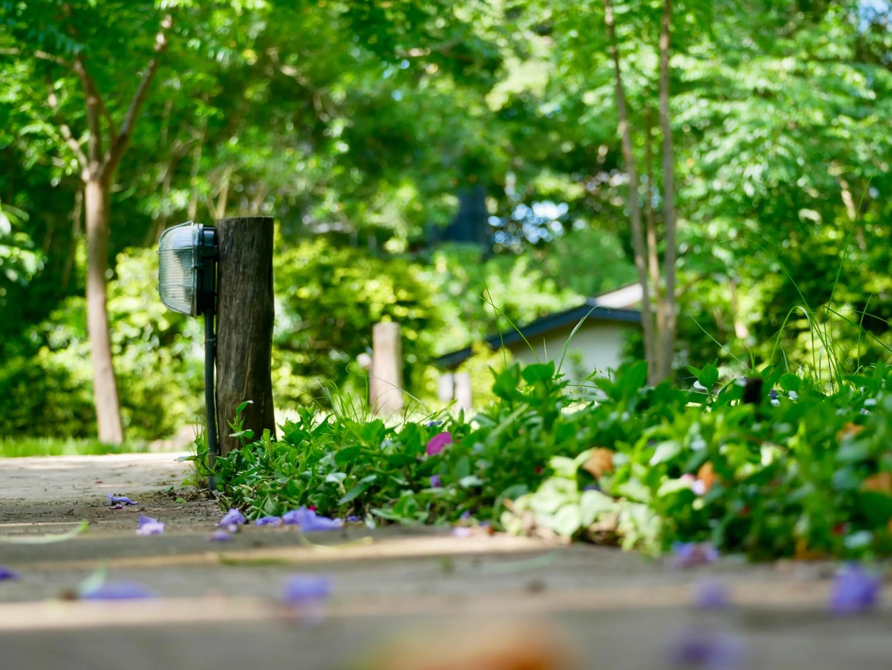 Arusha Villa Karamu Coffee Estate