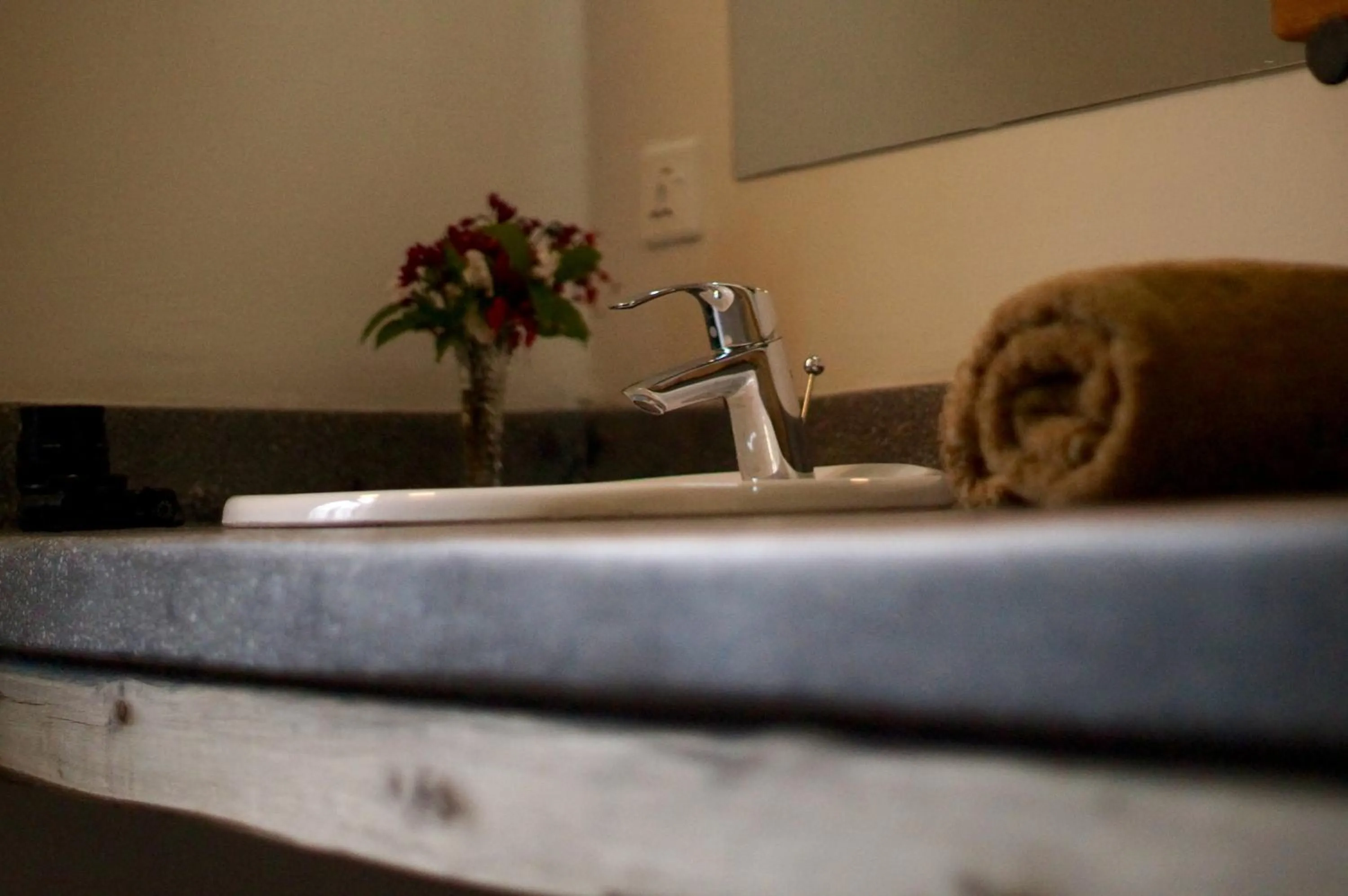 Arusha Villa Karamu Coffee Estate