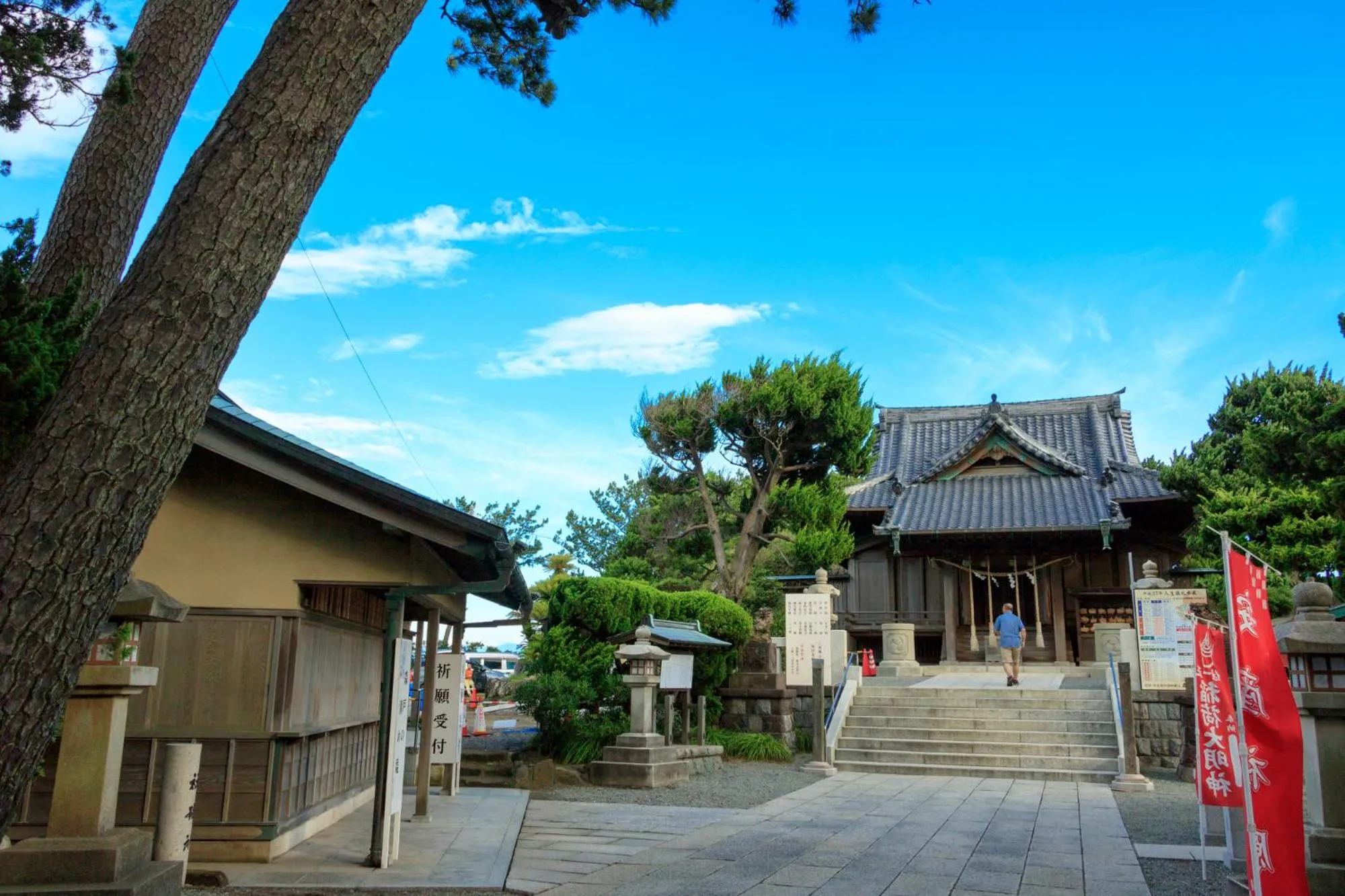 Spring in Scapes The Suite