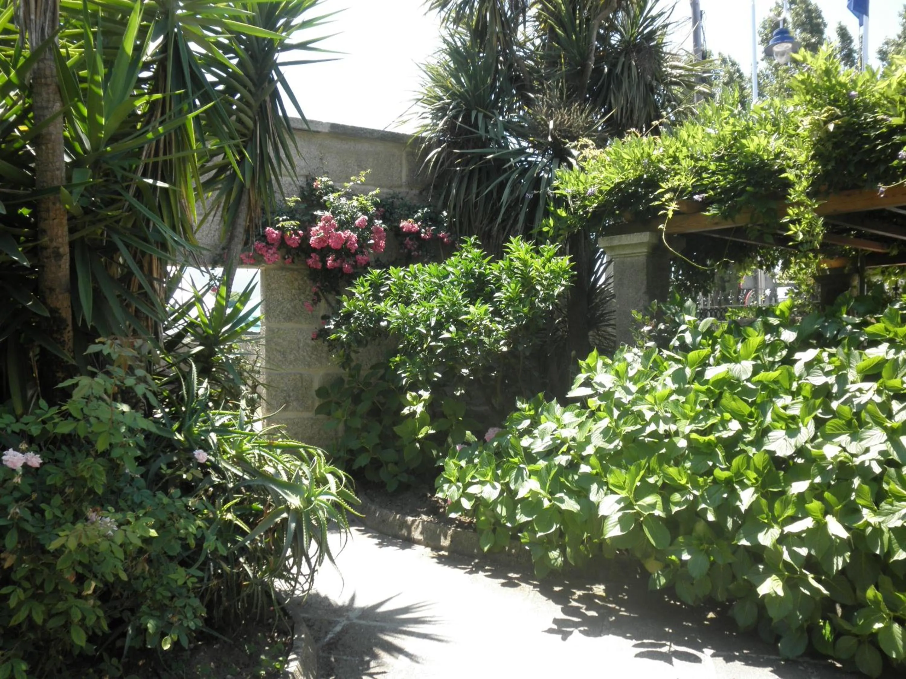 Garden in Hotel Playa Samil Vigo