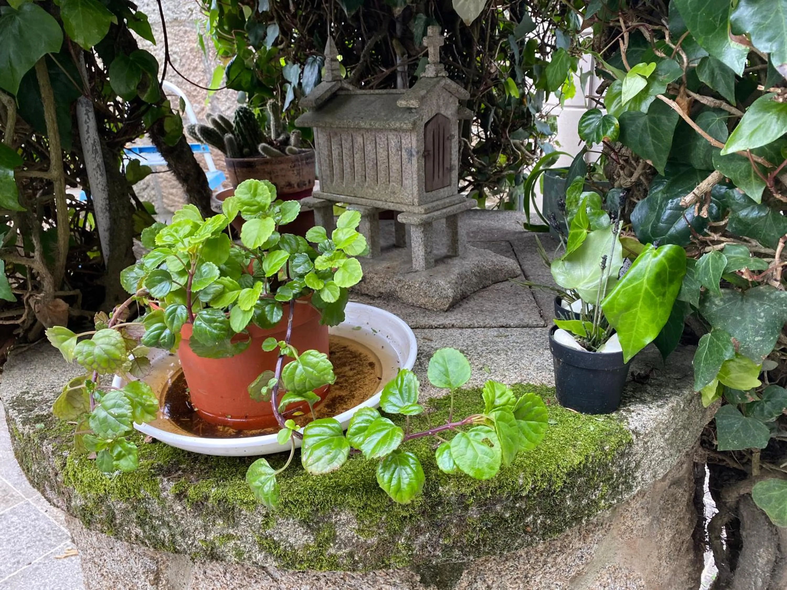 Patio in Hotel Playa Samil Vigo