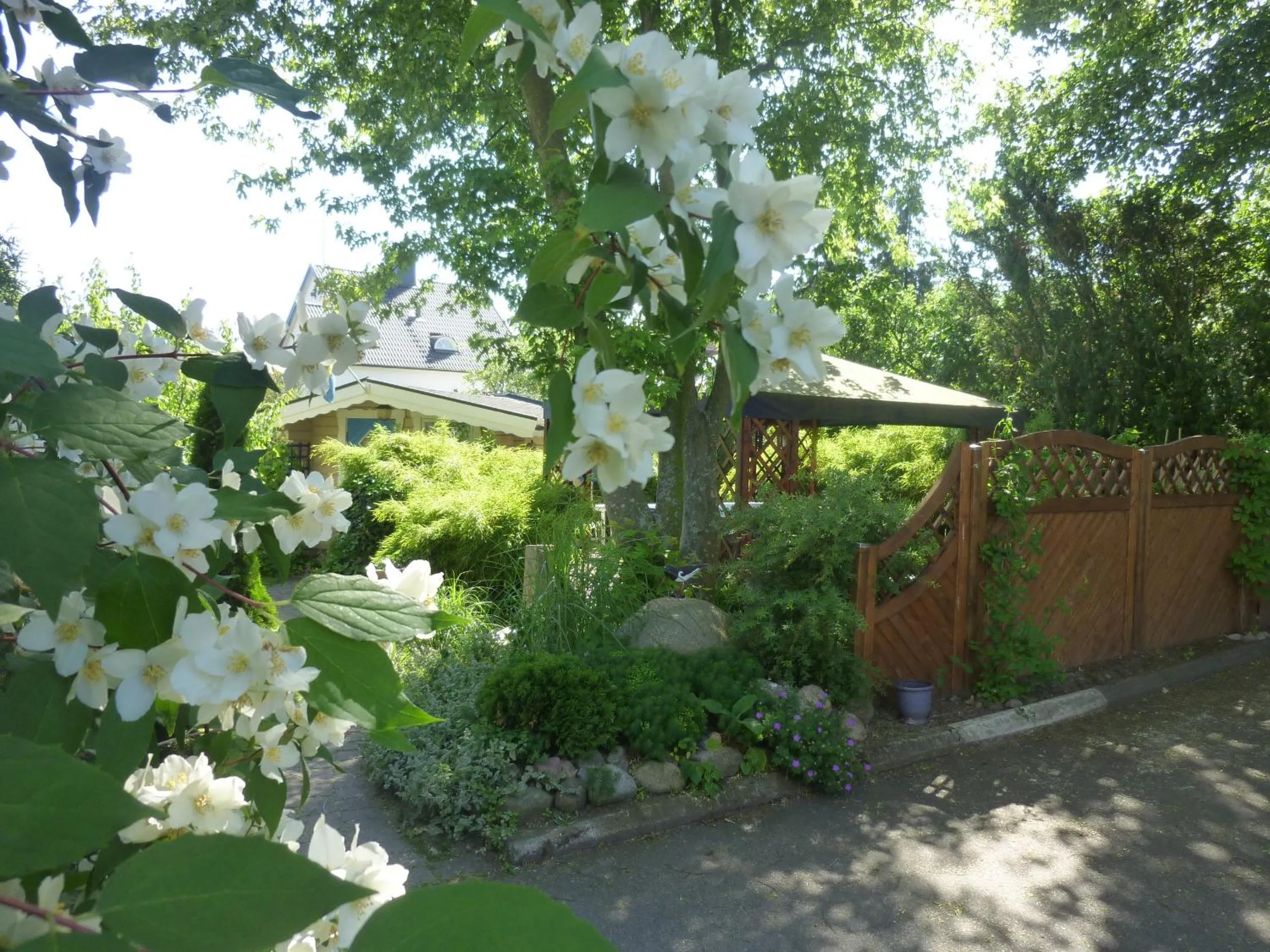 Garden view in Nya Pallas Hotel