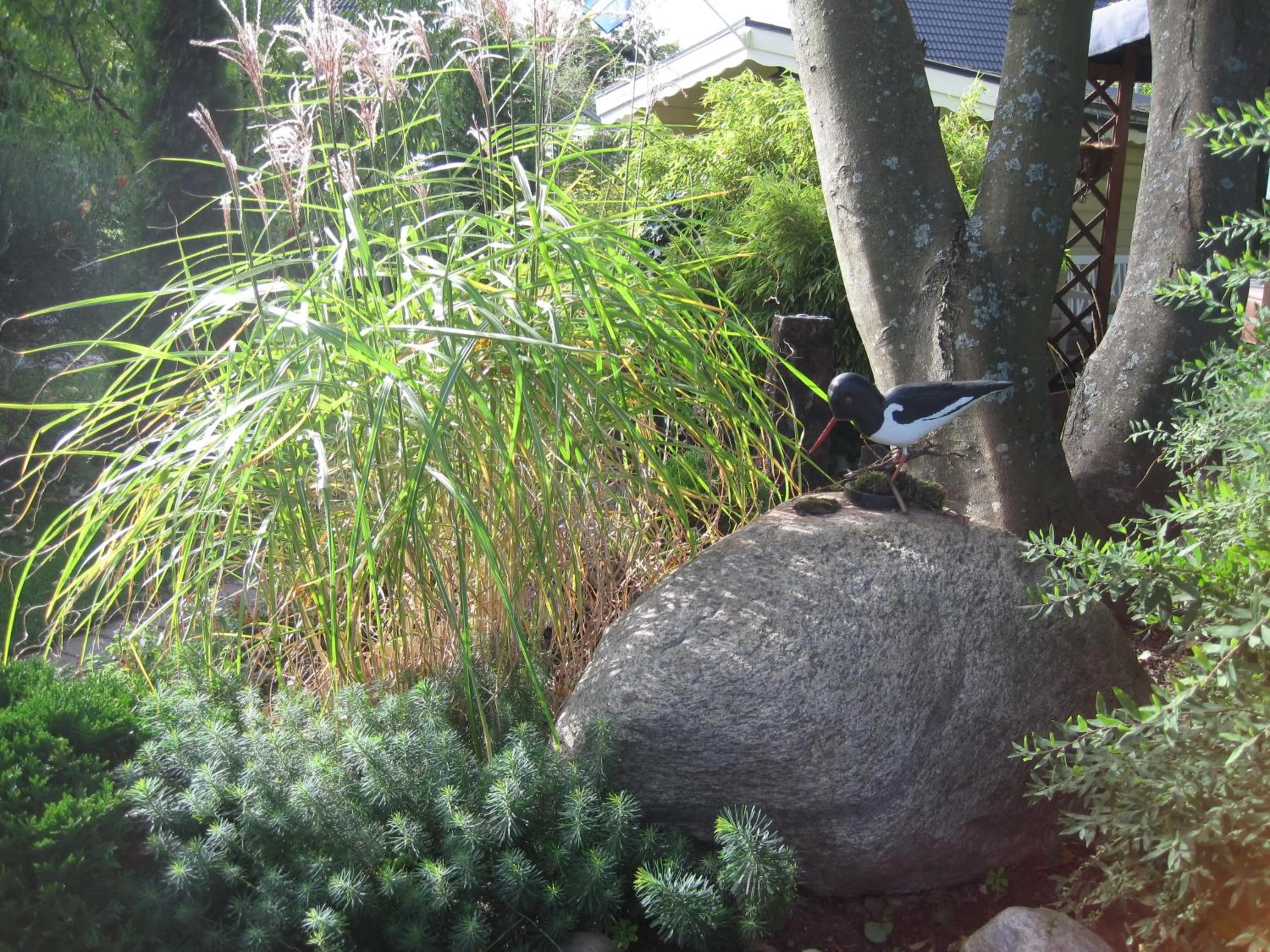 Garden in Nya Pallas Hotel