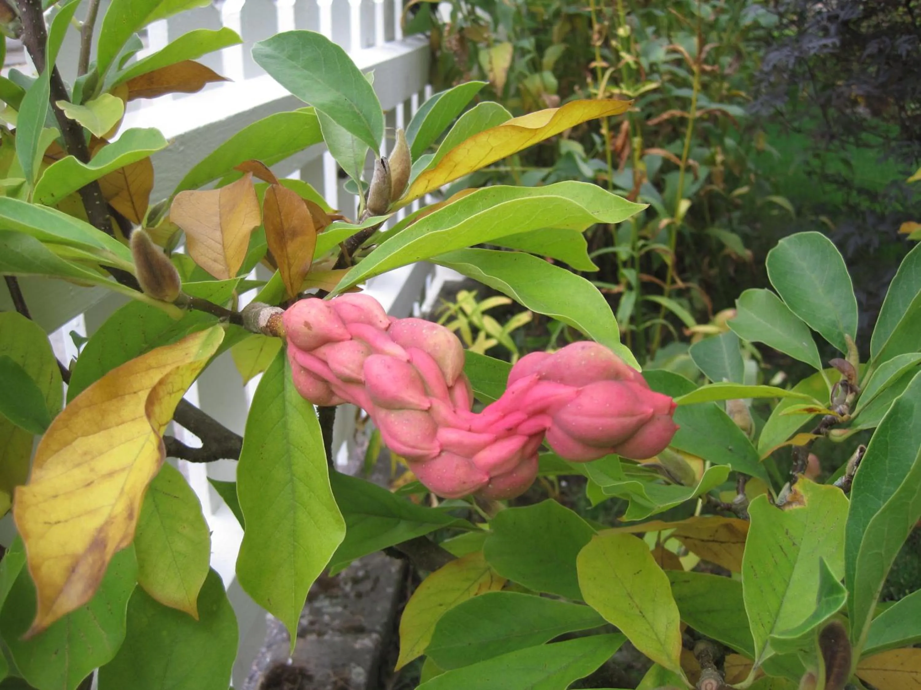 Spring in Nya Pallas Hotel