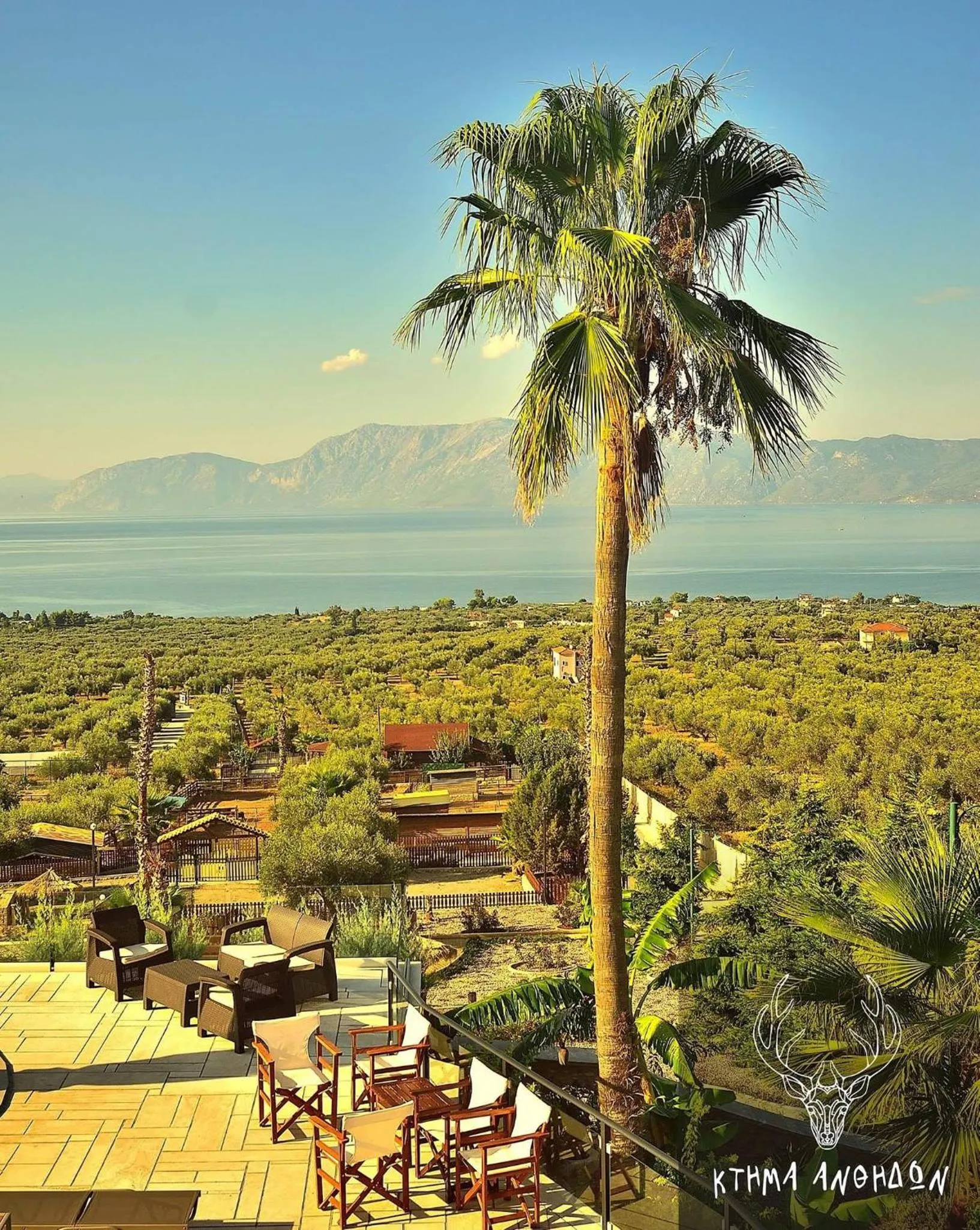 Day in Anthidon Nature Estate & Farm