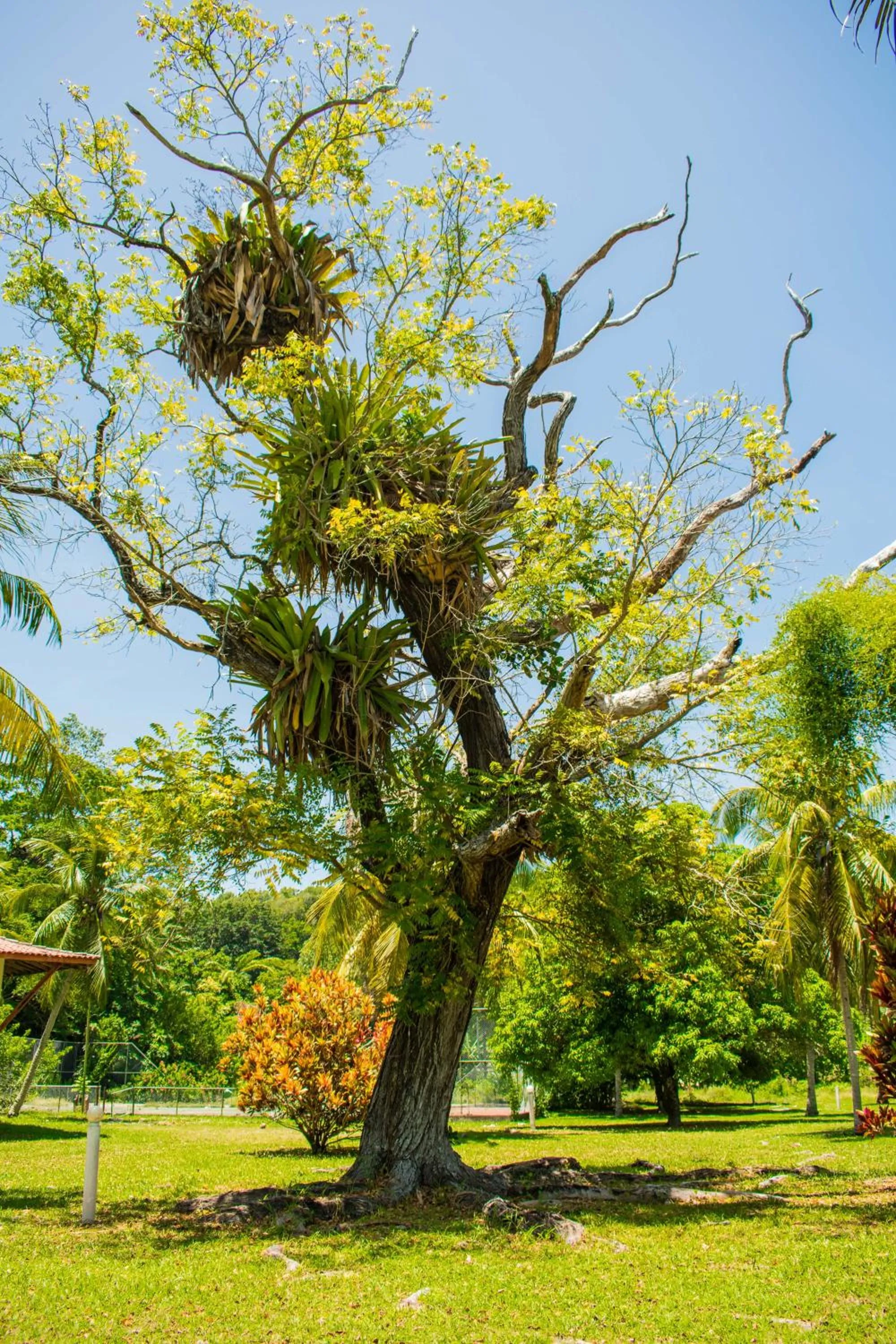 Day in Village Paraíso Tropical
