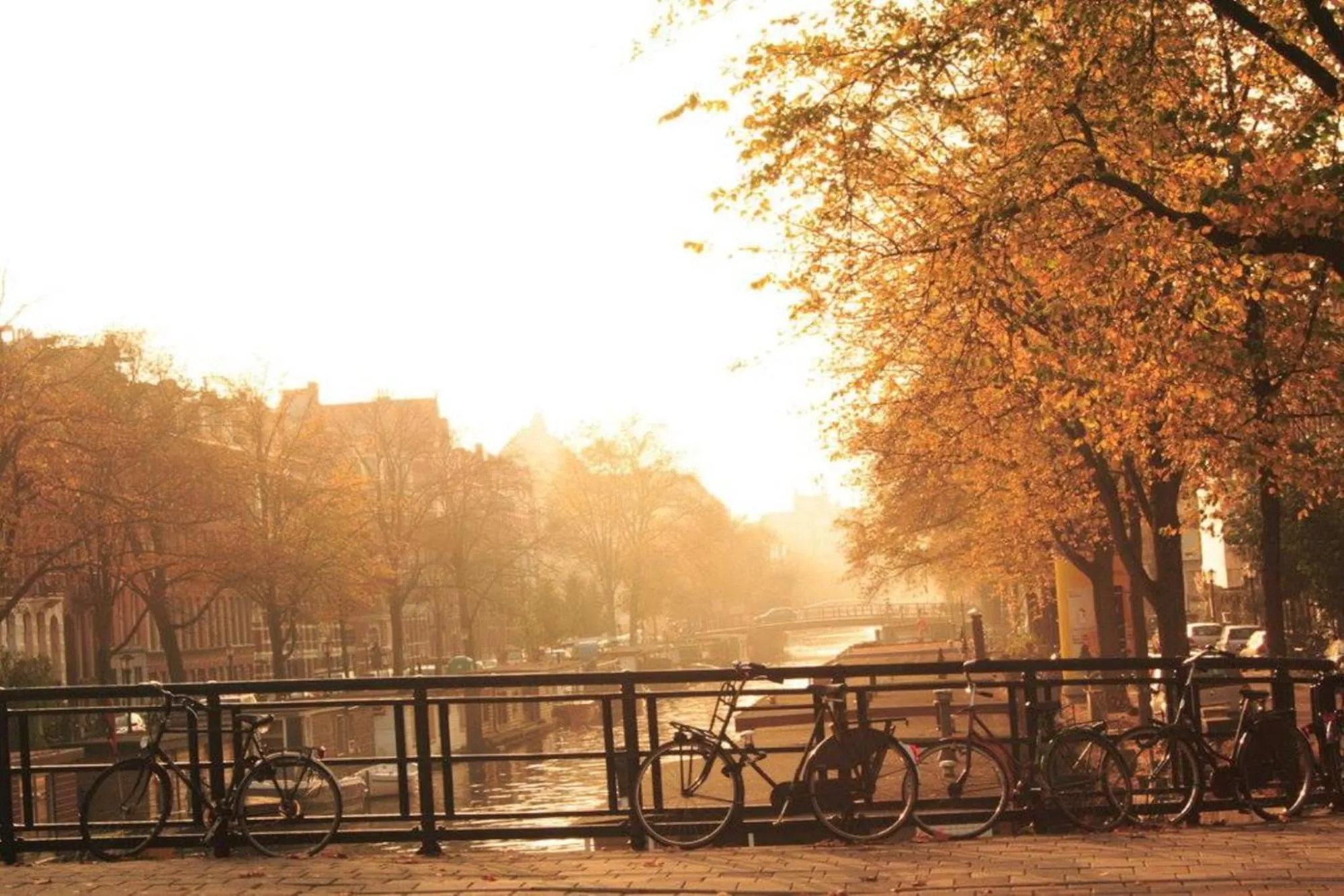 View (from property/room) in Hotel Sebastians