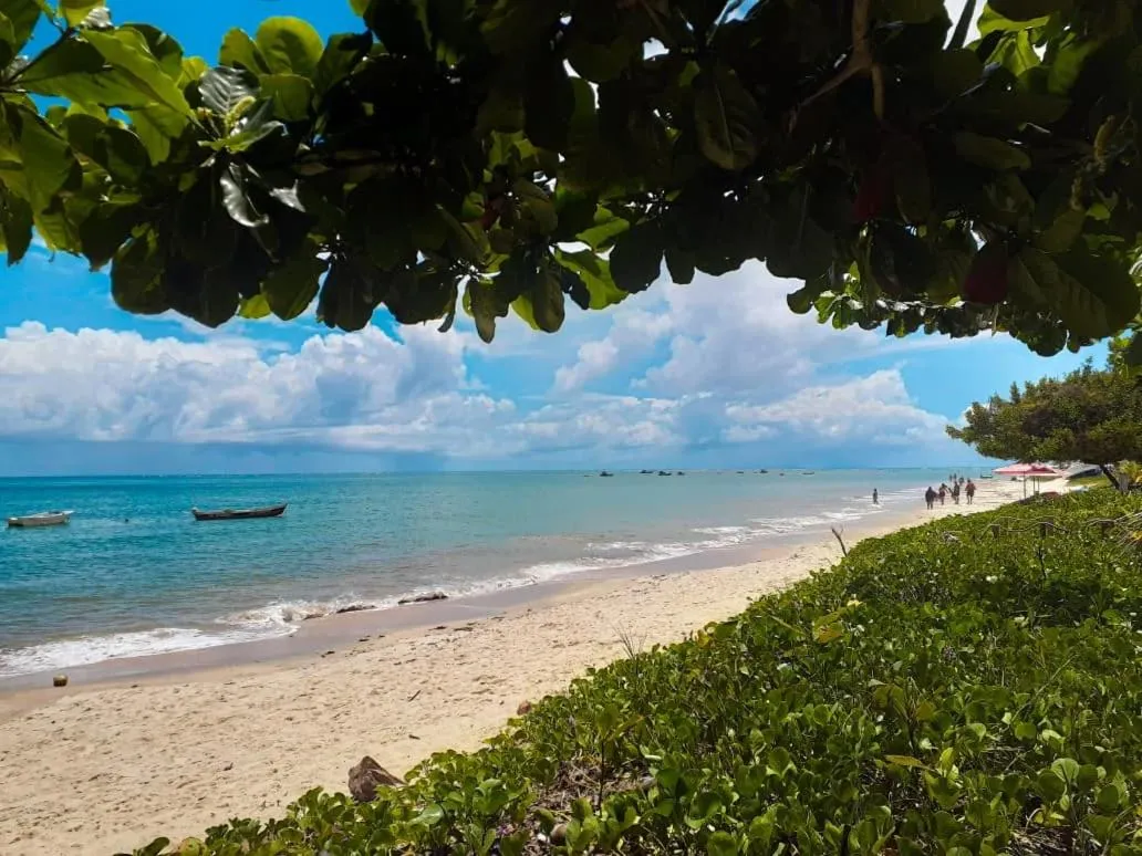 Beach in Vale Verde Coroa Vermelha