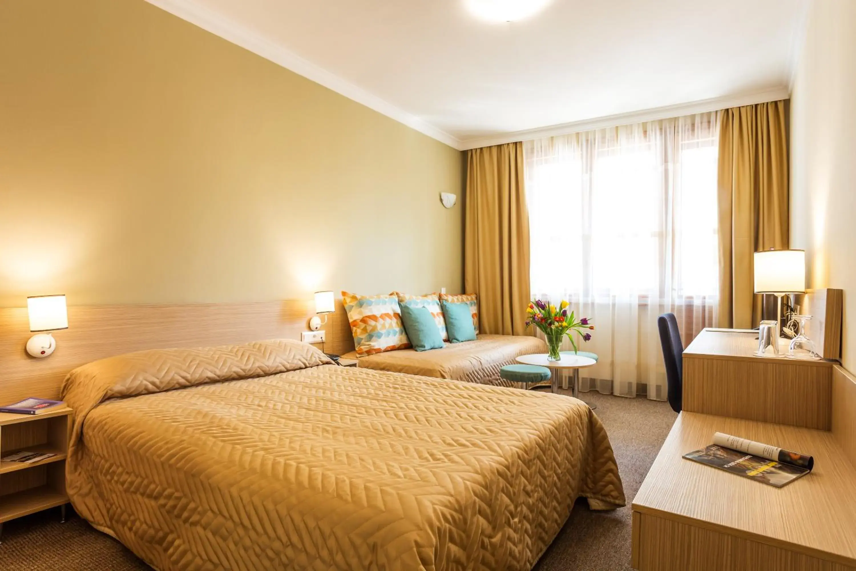 Double Room in Geneva Hotel Double Room in Geneva Hotel