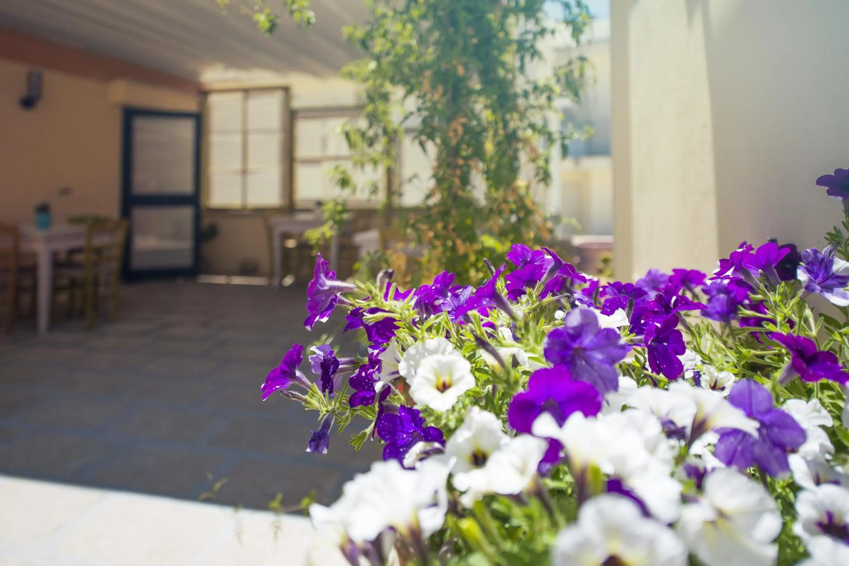 Balcony/Terrace in Notos b&b
