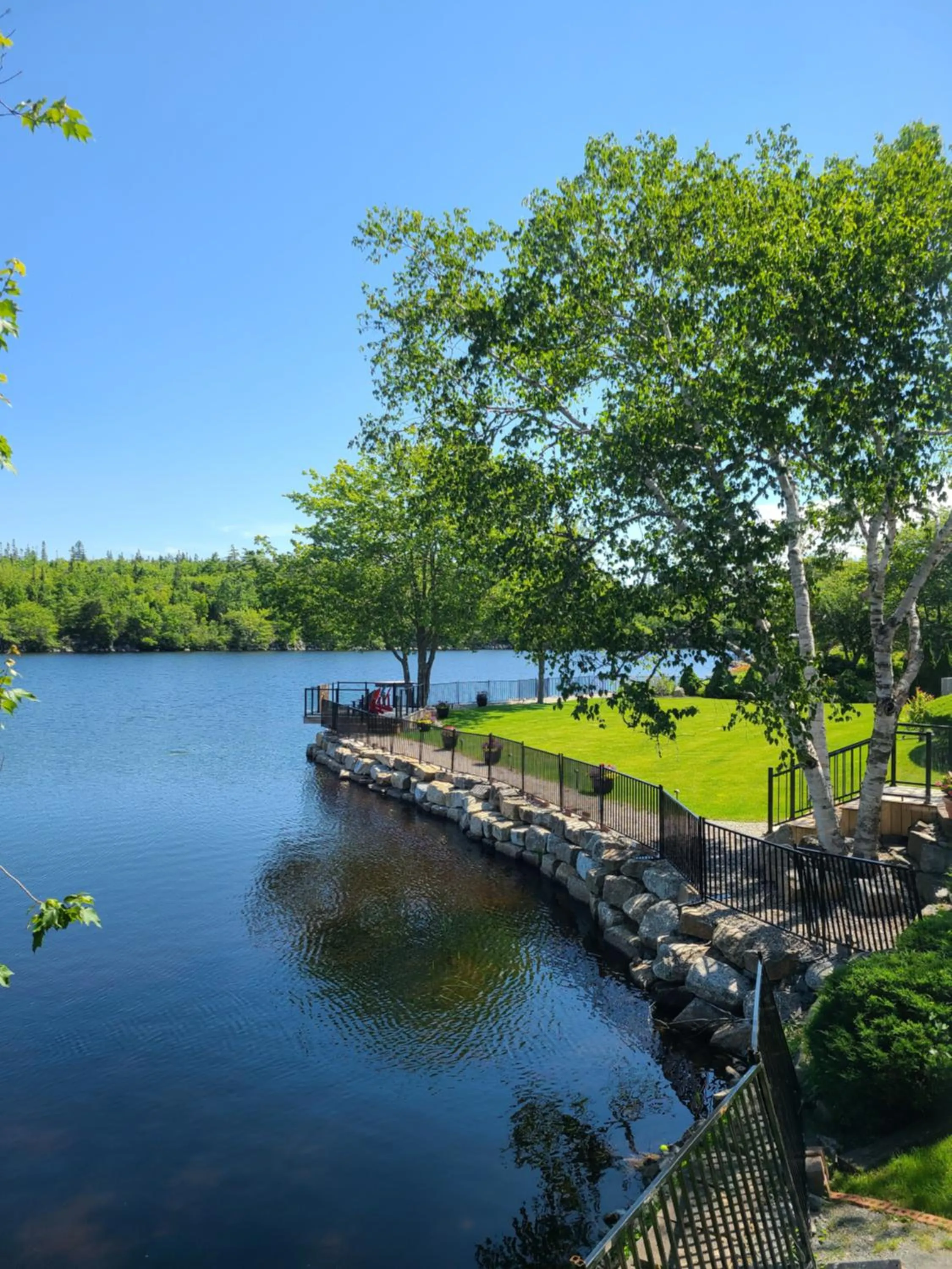 Natural landscape in Stardust Motel - Timberlea