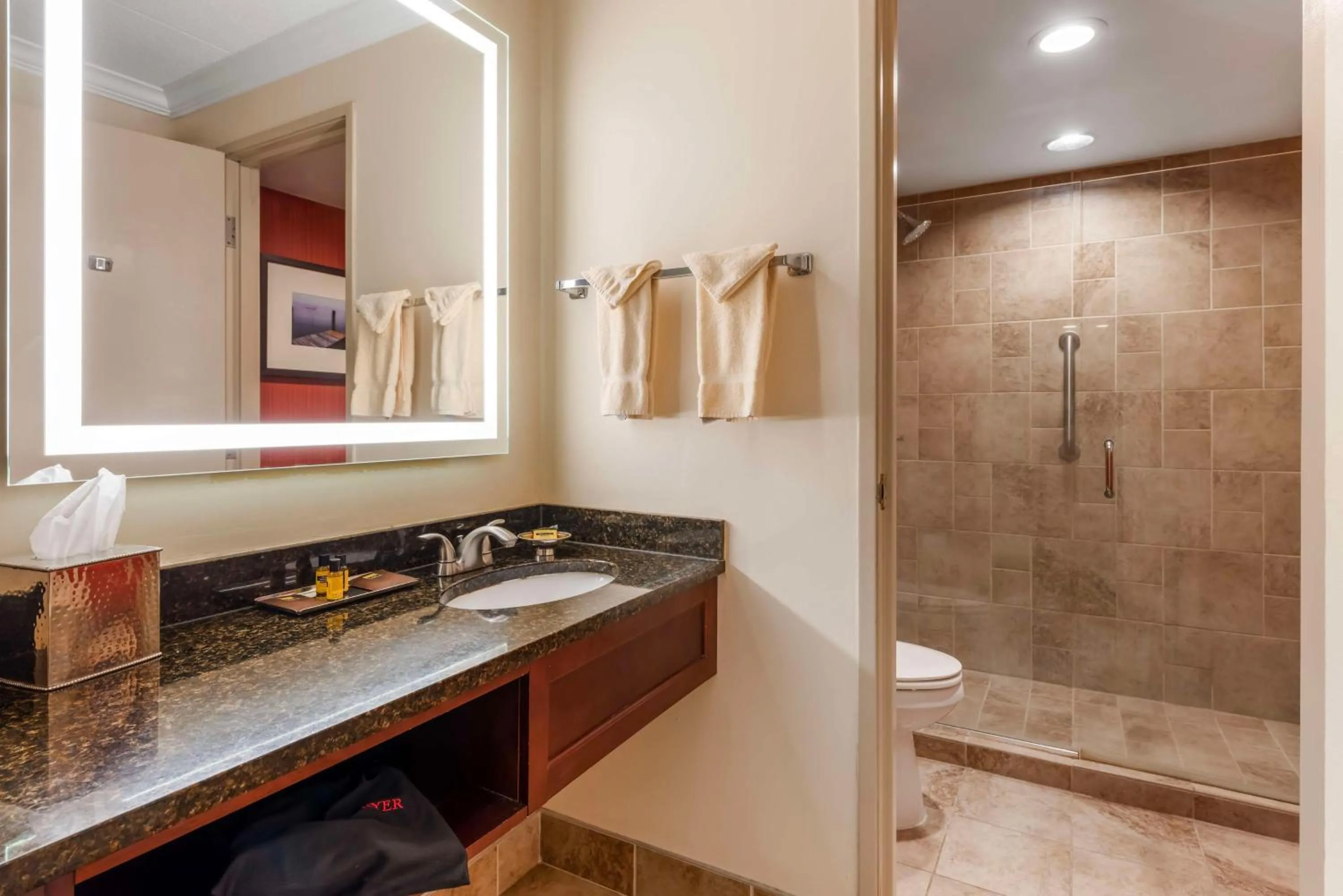 Bathroom in Best Western Plus White Bear Country Inn